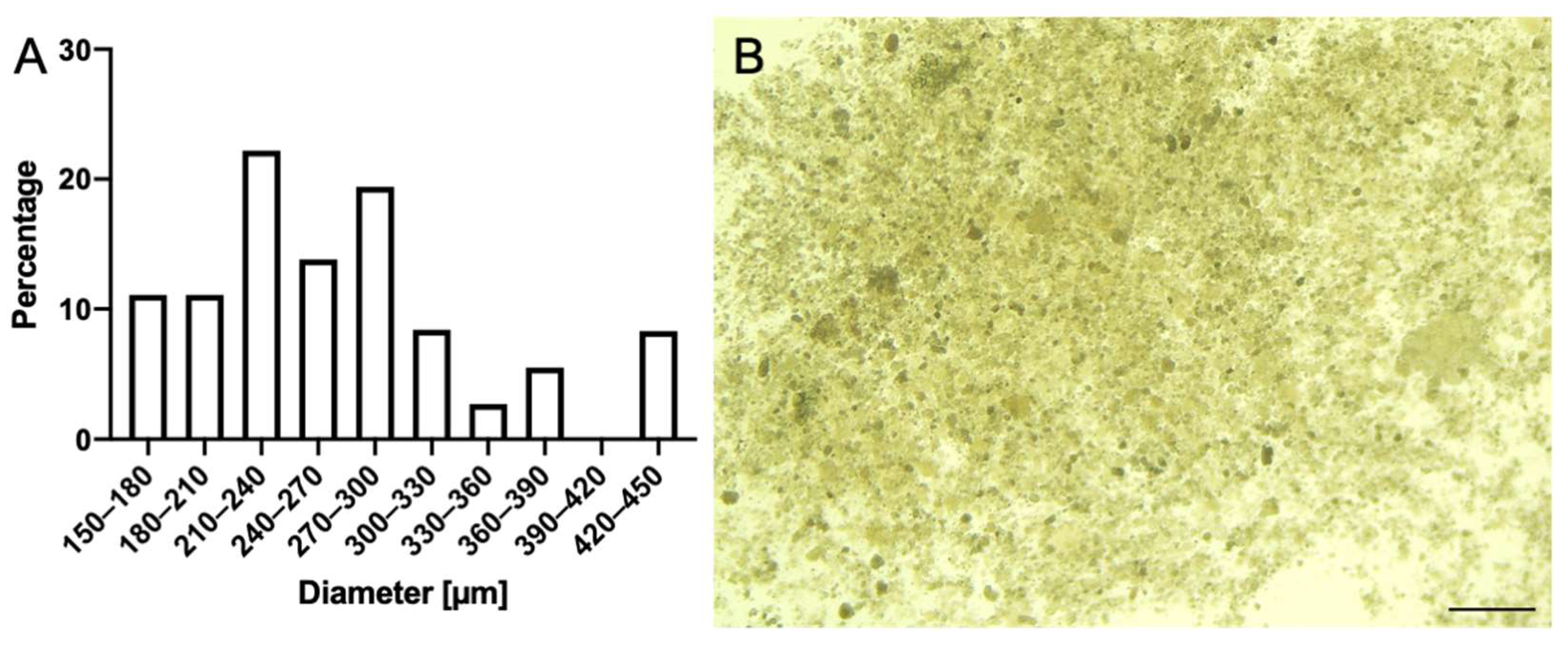 Microorganisms 10 02220 g008