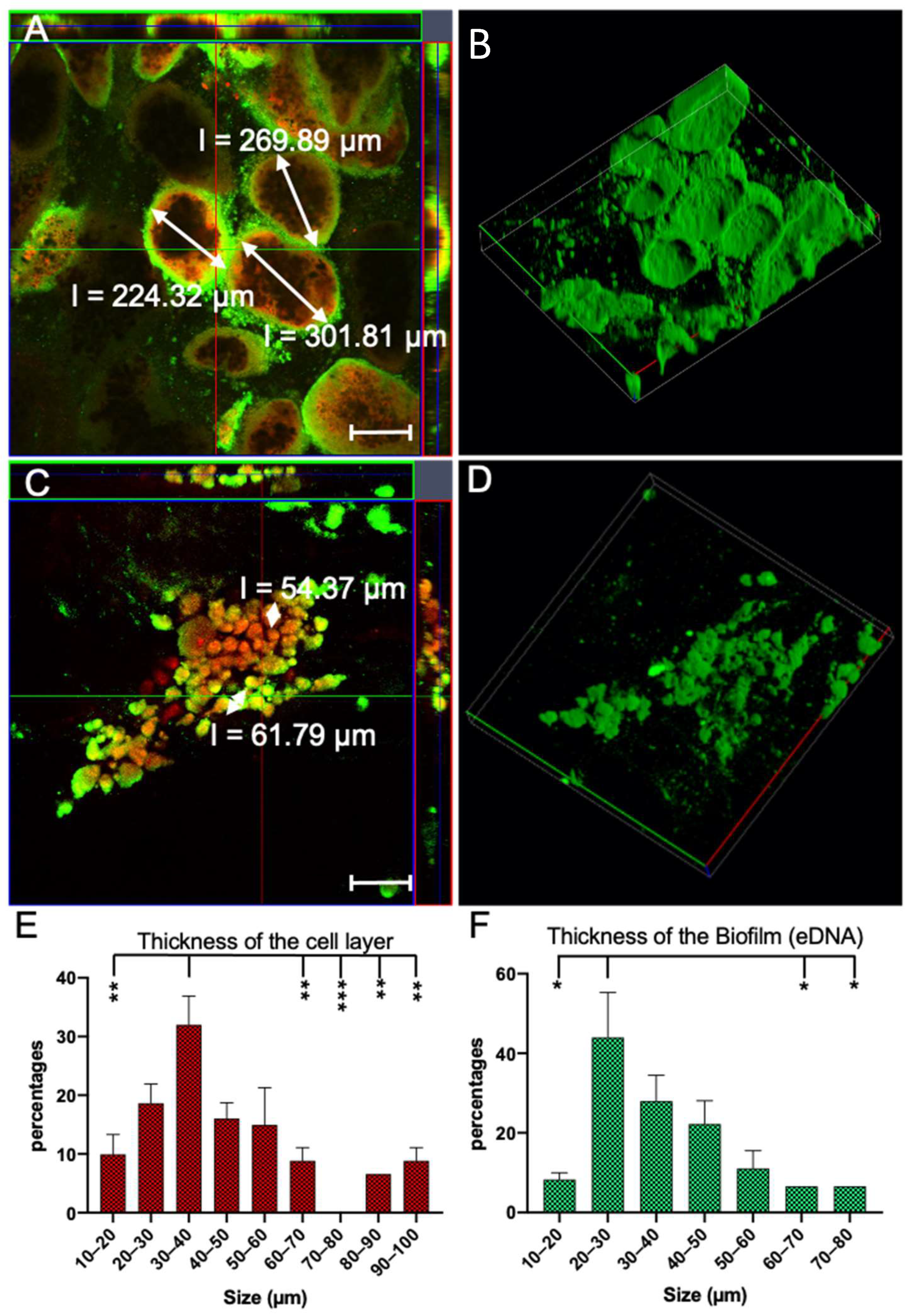 Microorganisms 10 02220 g009