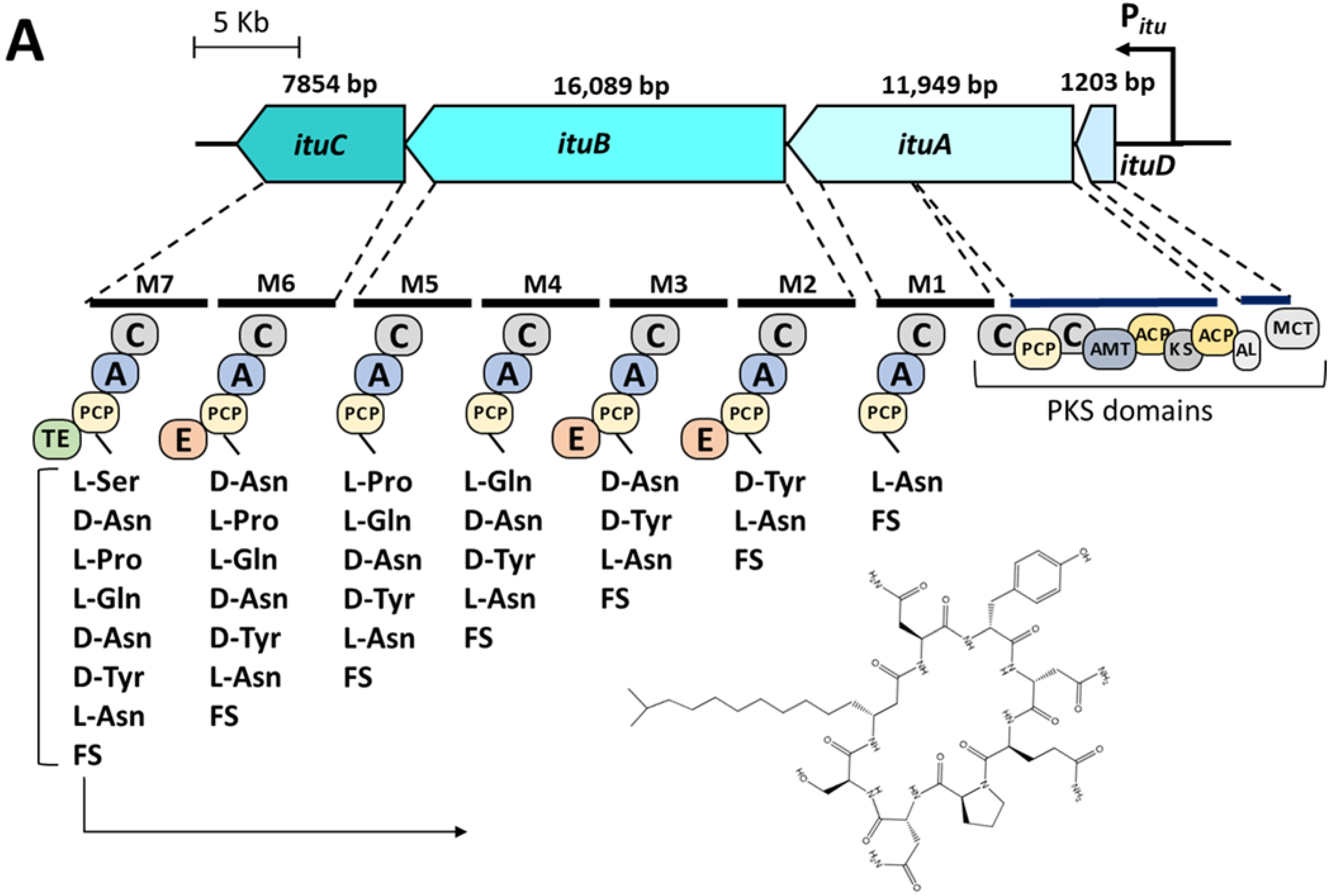 Microorganisms 10 02225 g001a Microorganisms 10 02225 g001a