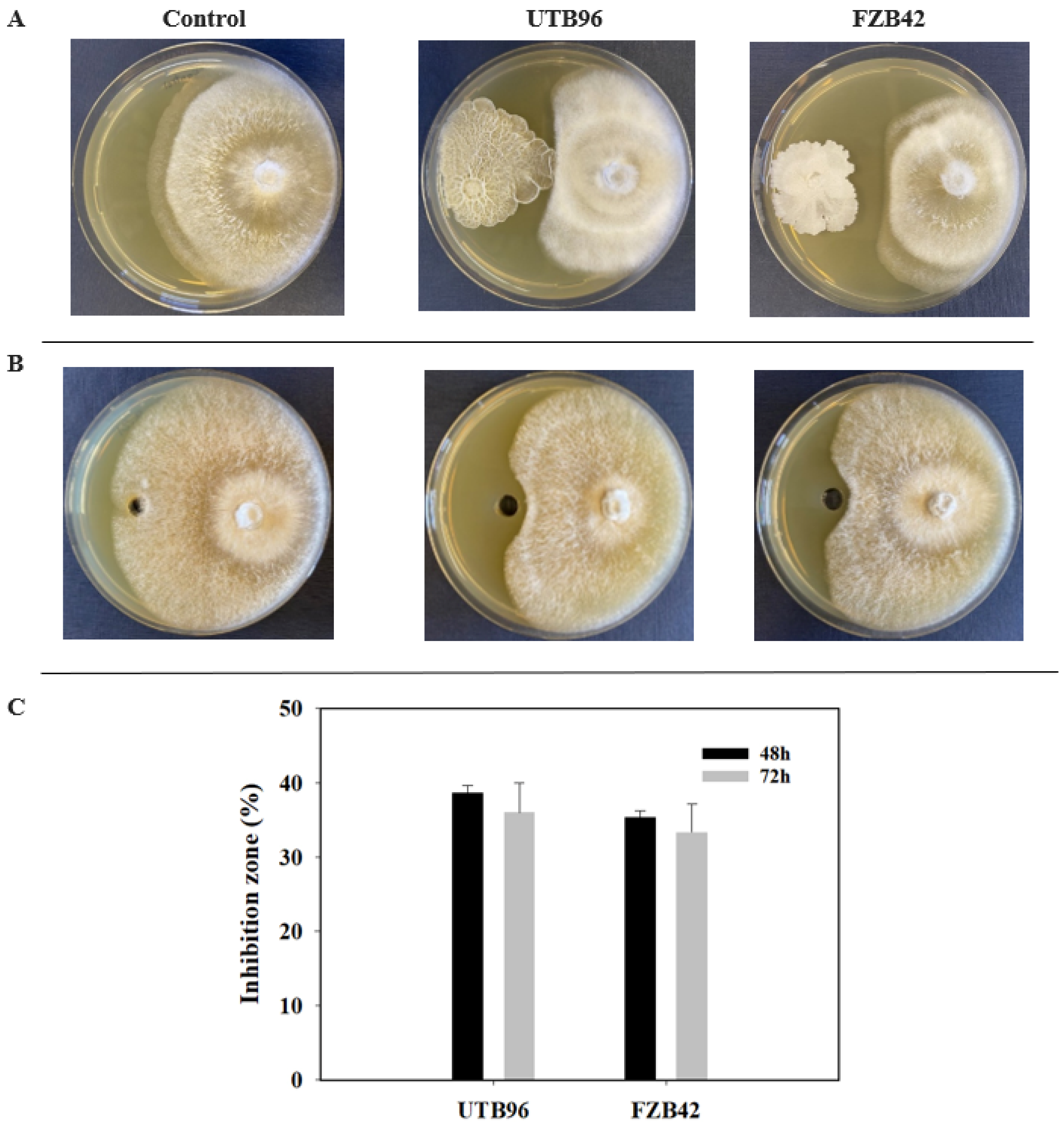 Microorganisms 10 02225 g004 Microorganisms 10 02225 g004
