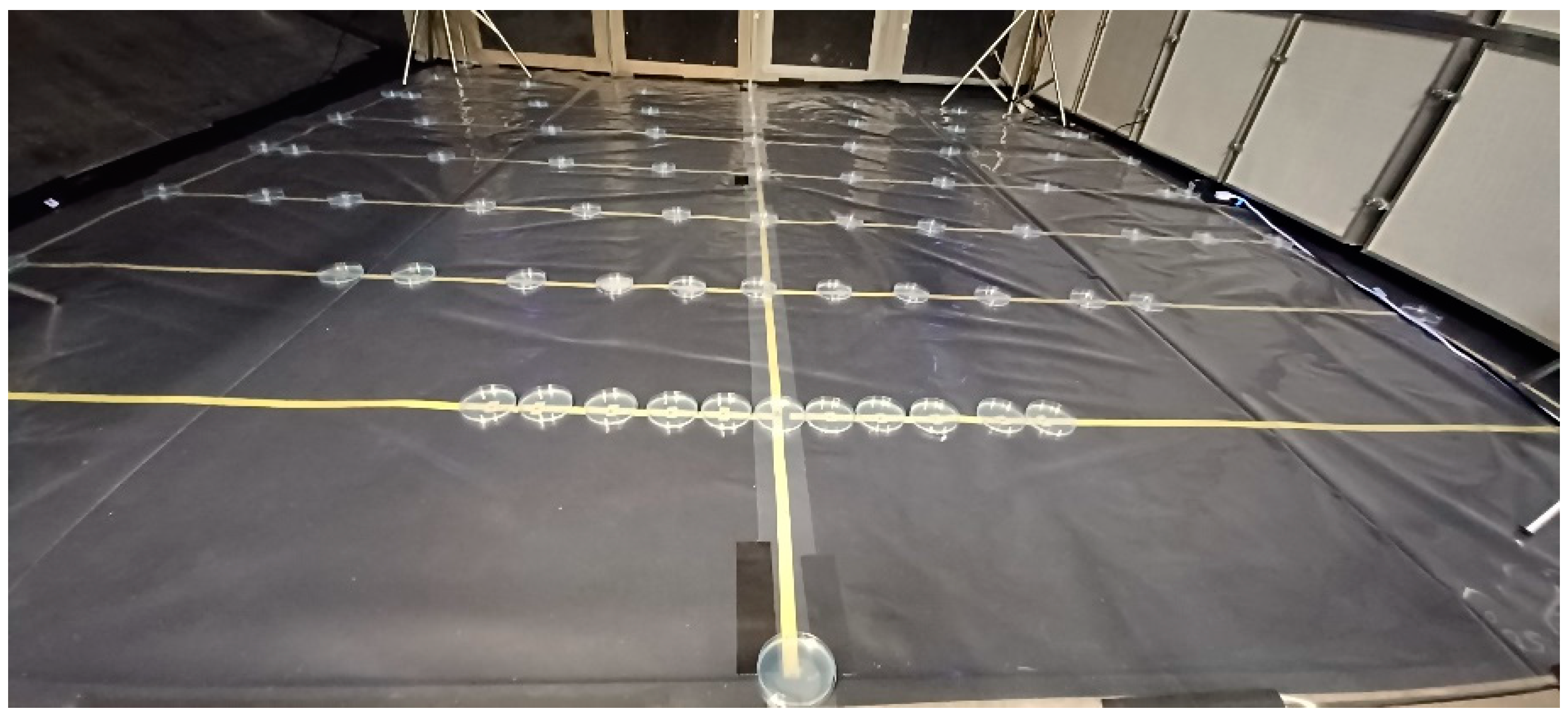 Microorganisms 10 02241 g003