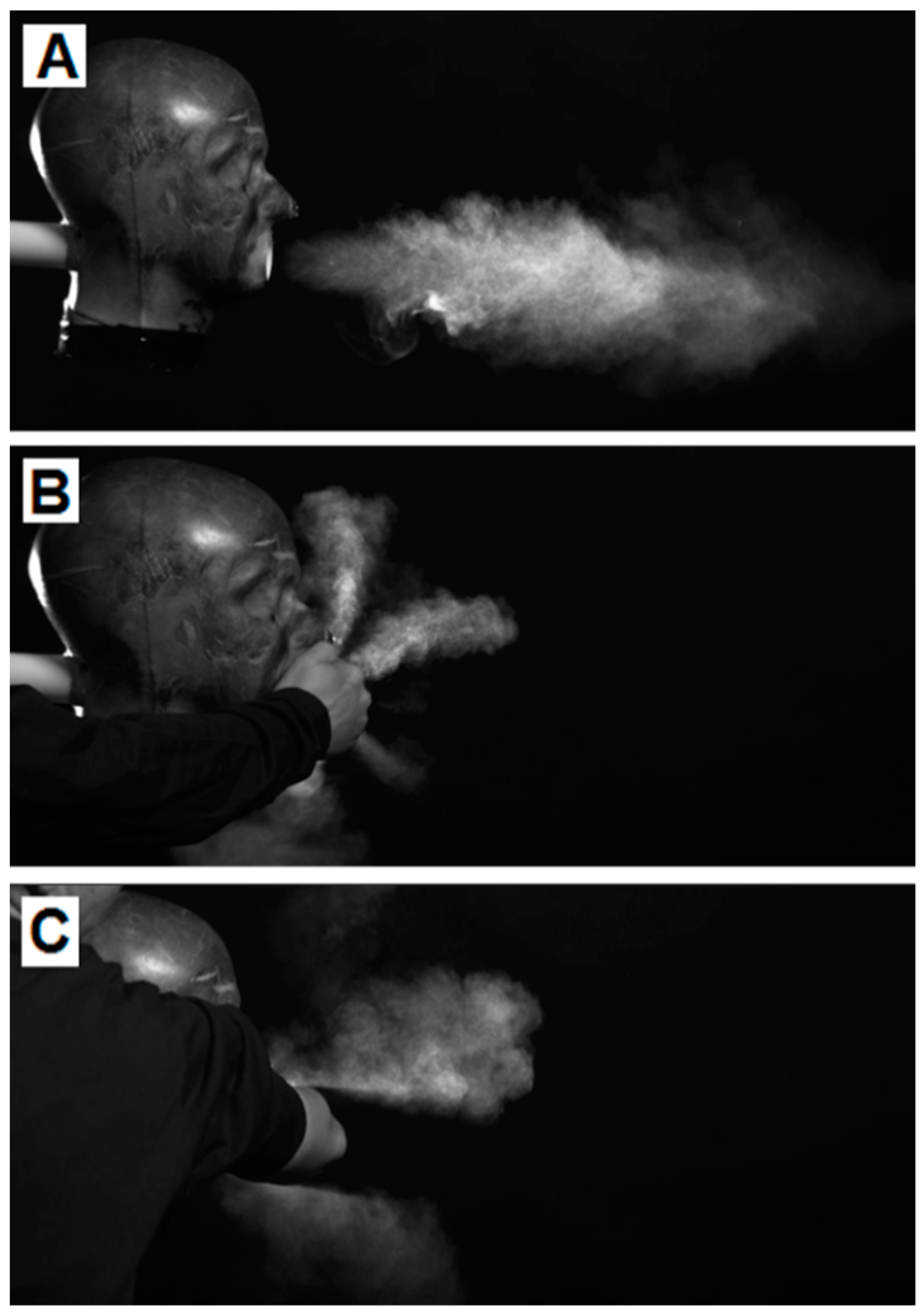 Microorganisms 10 02241 g007