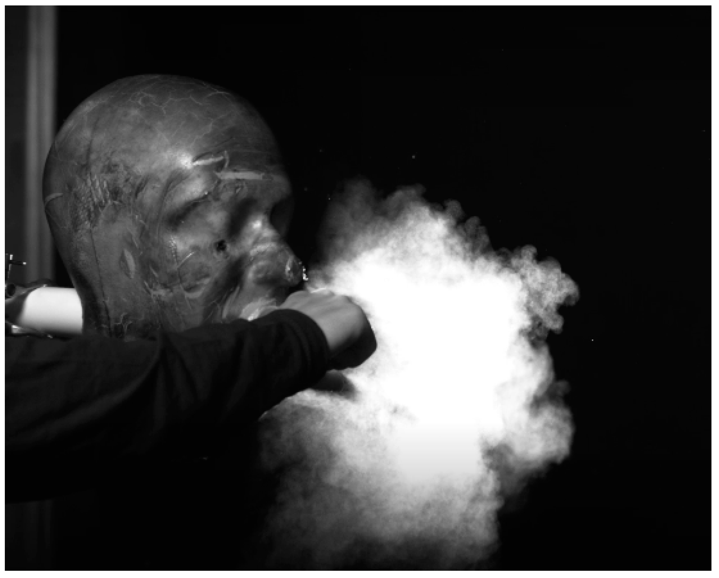 Microorganisms 10 02241 g008