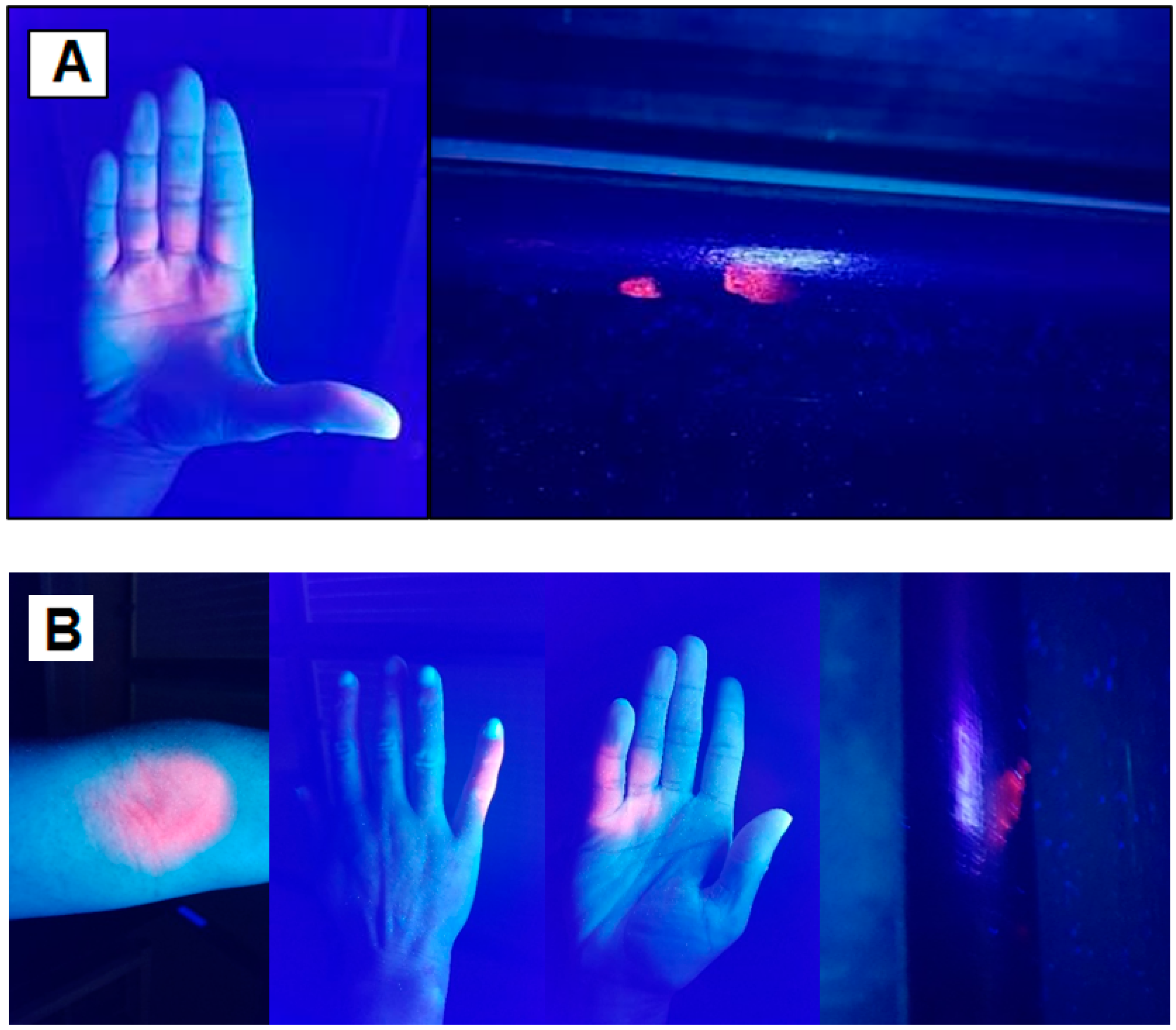 Microorganisms 10 02241 g010