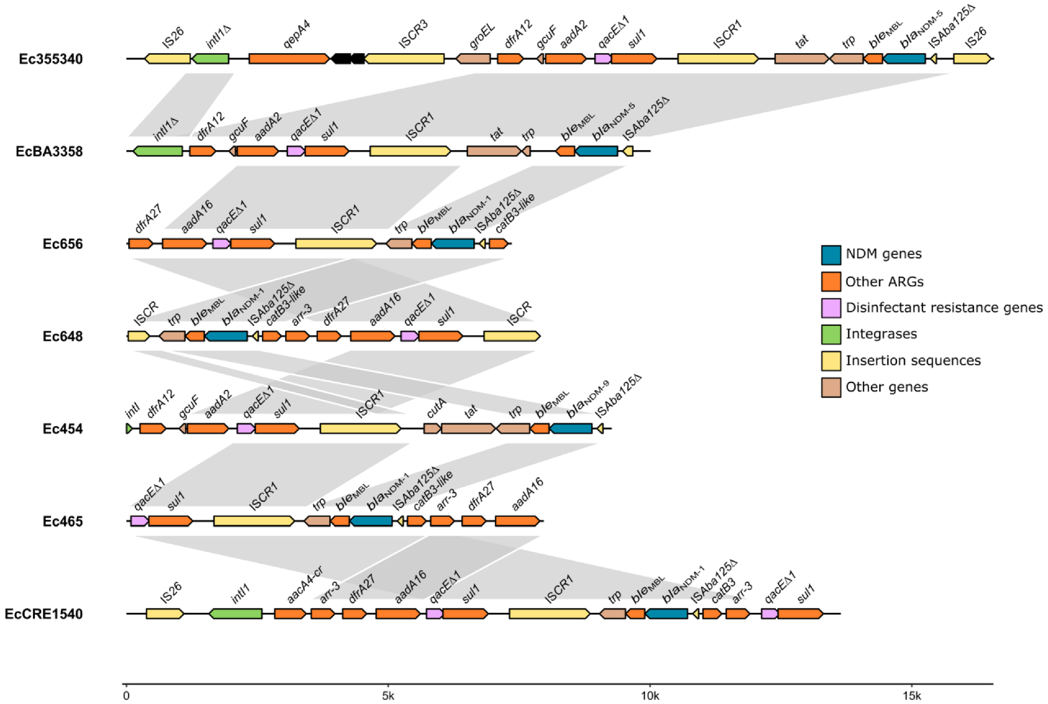 Microorganisms 10 02243 g002 Microorganisms 10 02243 g002