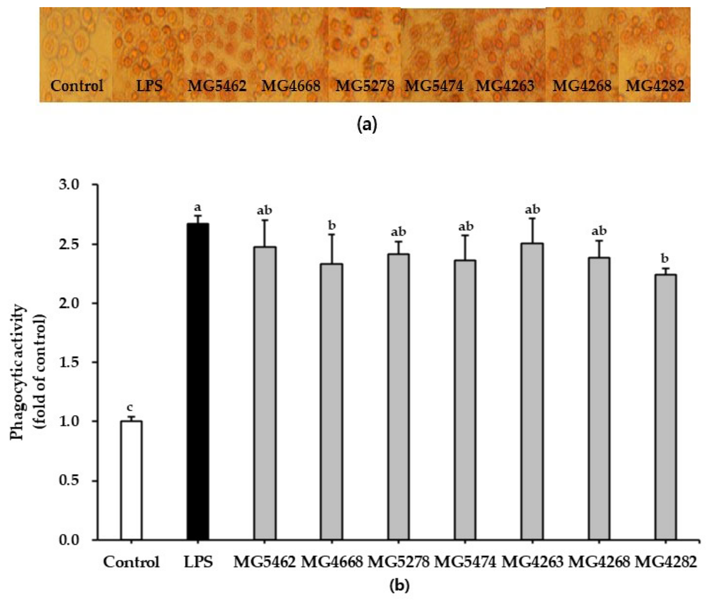 Microorganisms 10 02247 g001 Microorganisms 10 02247 g001