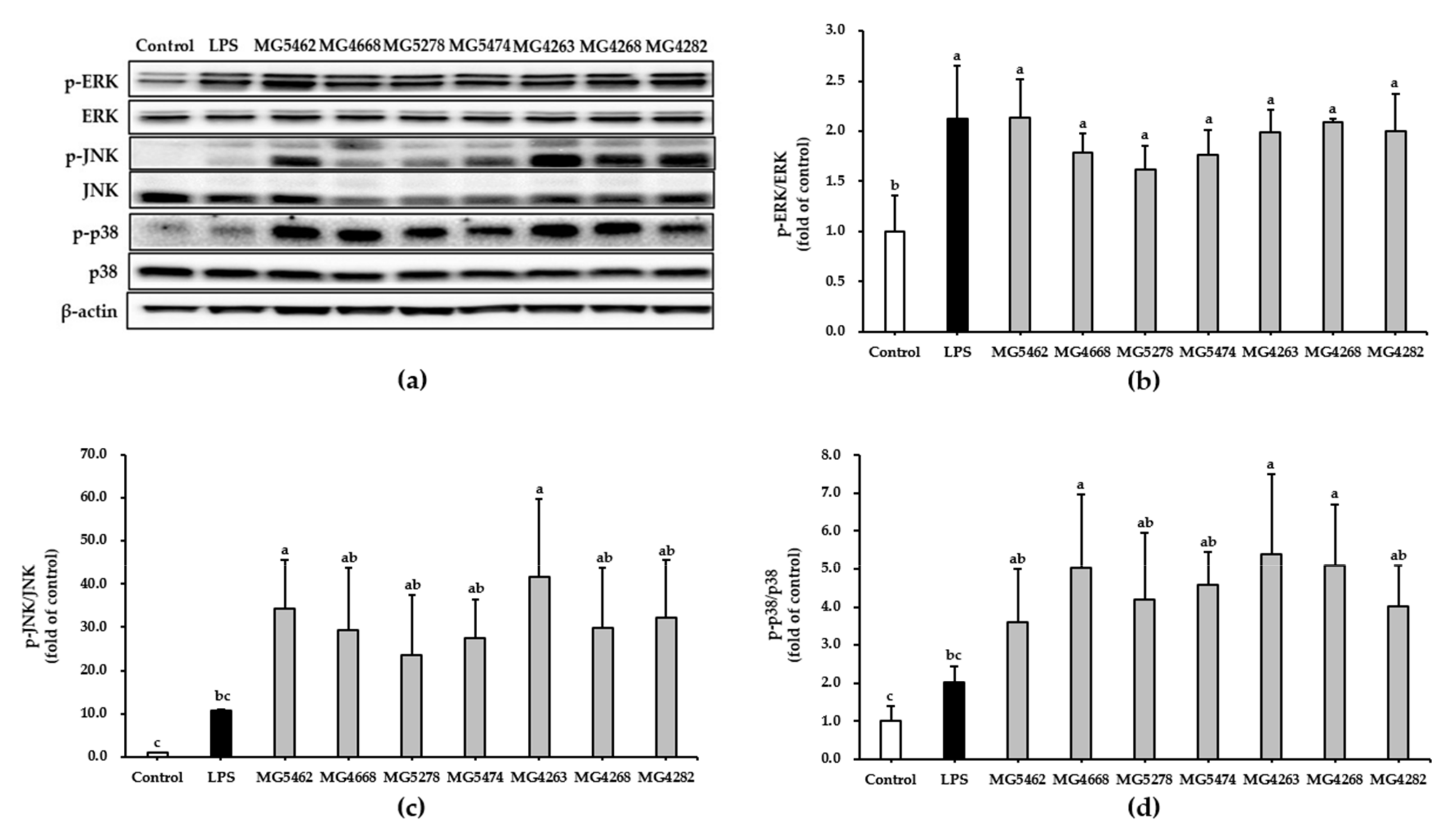 Microorganisms 10 02247 g005 Microorganisms 10 02247 g005