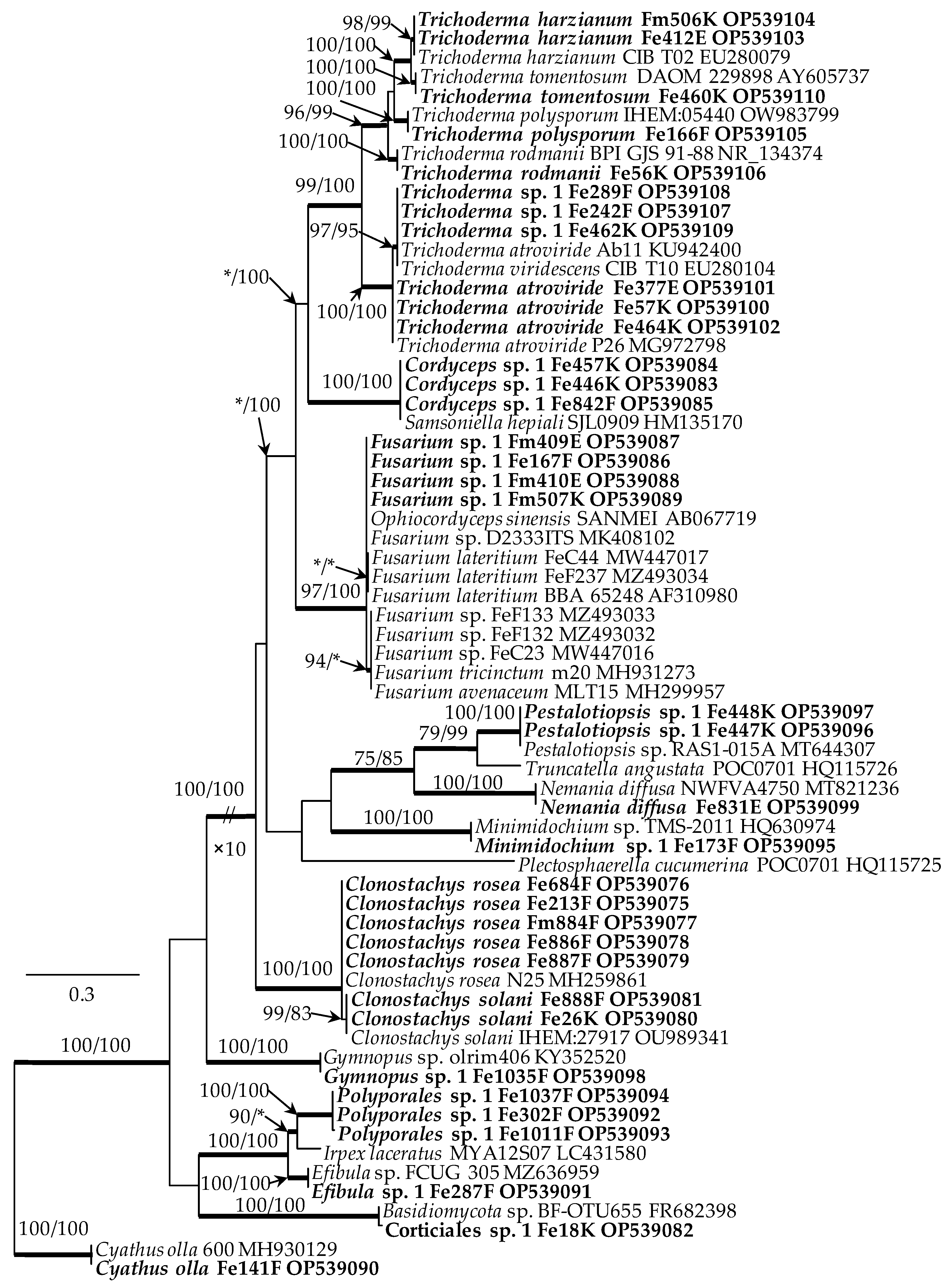 Microorganisms 10 02250 g003 Microorganisms 10 02250 g003