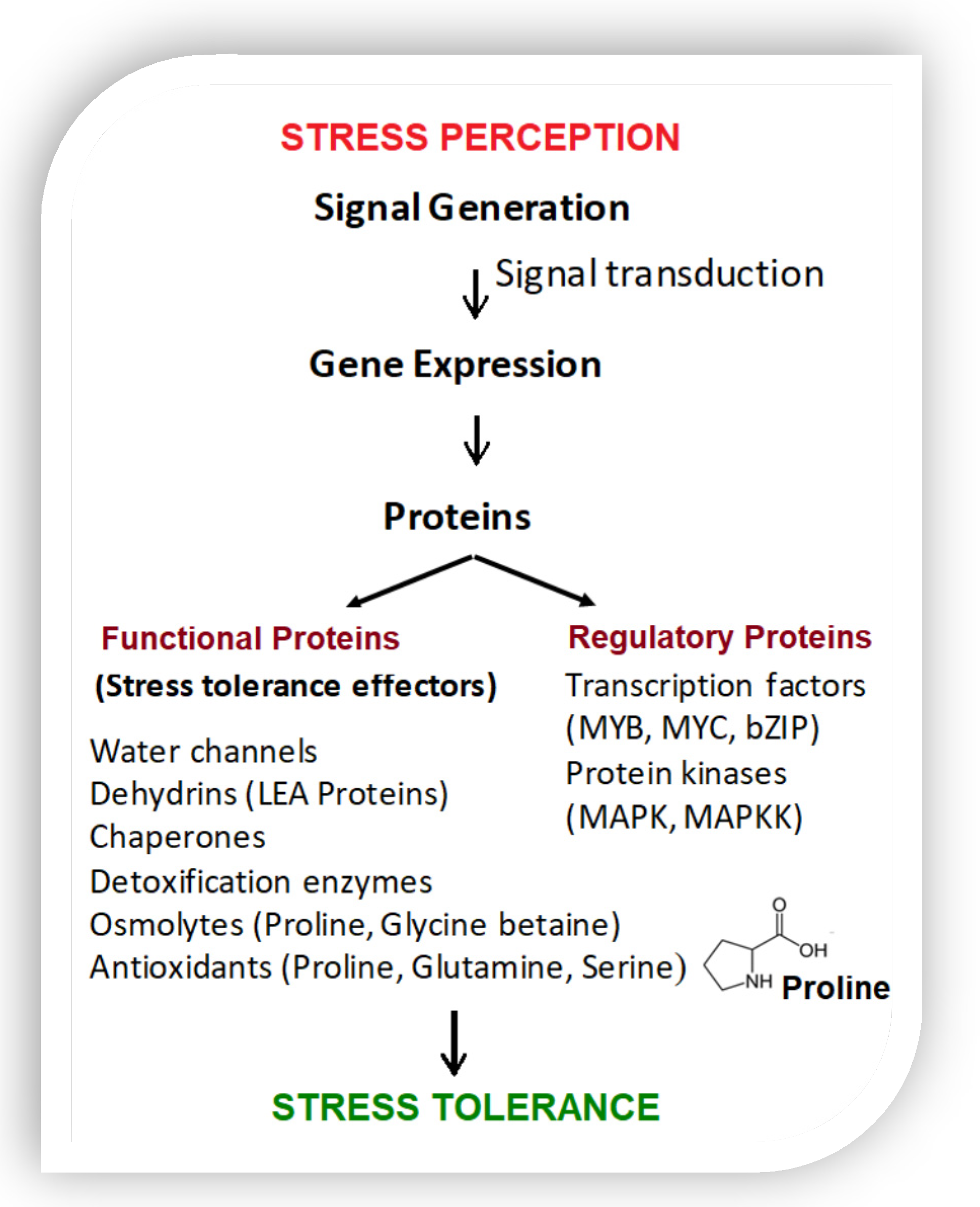 Microorganisms 10 02264 g002