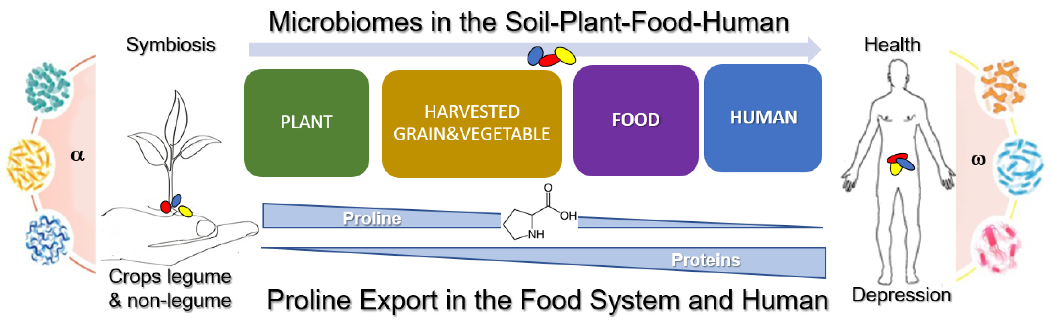 Microorganisms 10 02264 g008