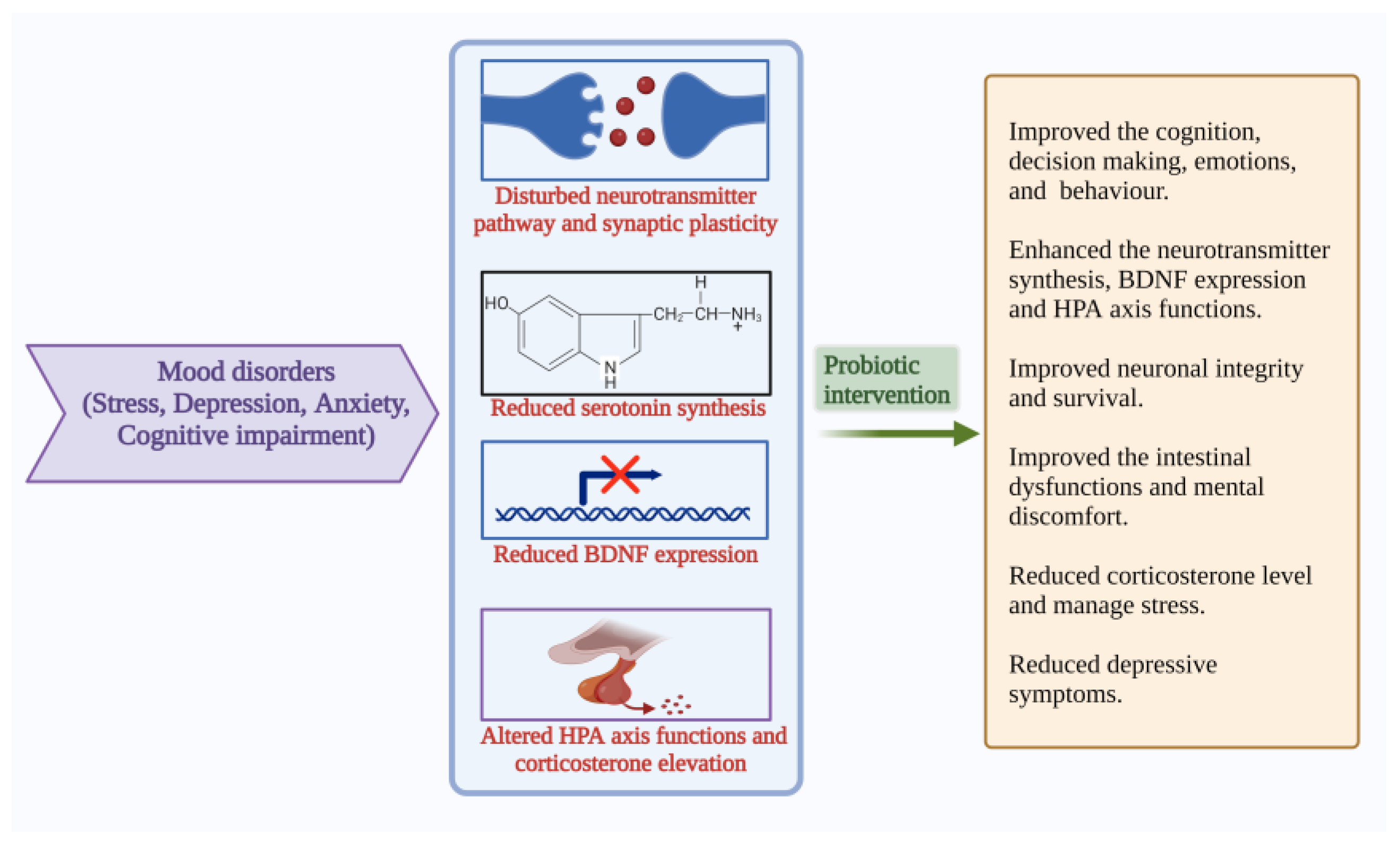 Microorganisms 10 02268 g005 Microorganisms 10 02268 g005