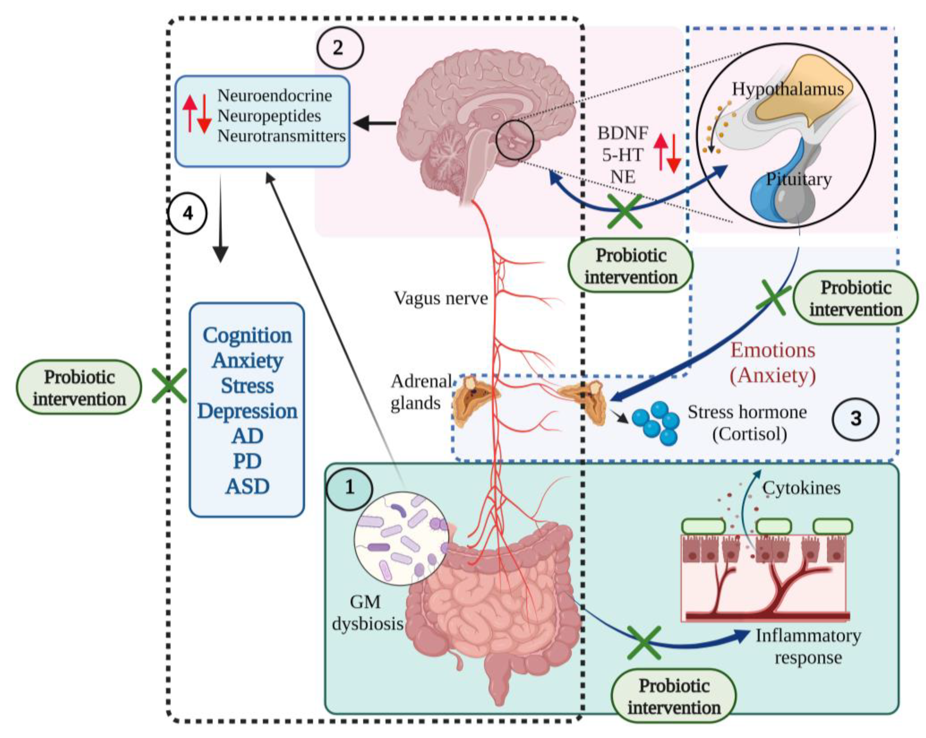 Microorganisms 10 02268 g006 Microorganisms 10 02268 g006