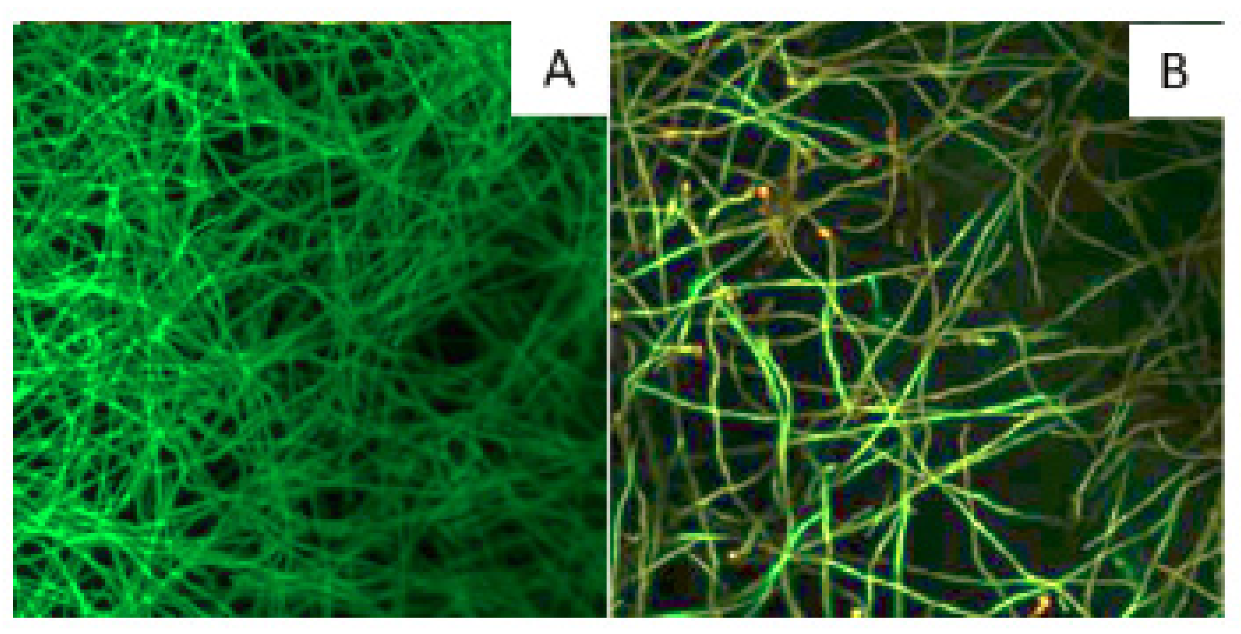 Microorganisms 10 02270 g006 Microorganisms 10 02270 g006