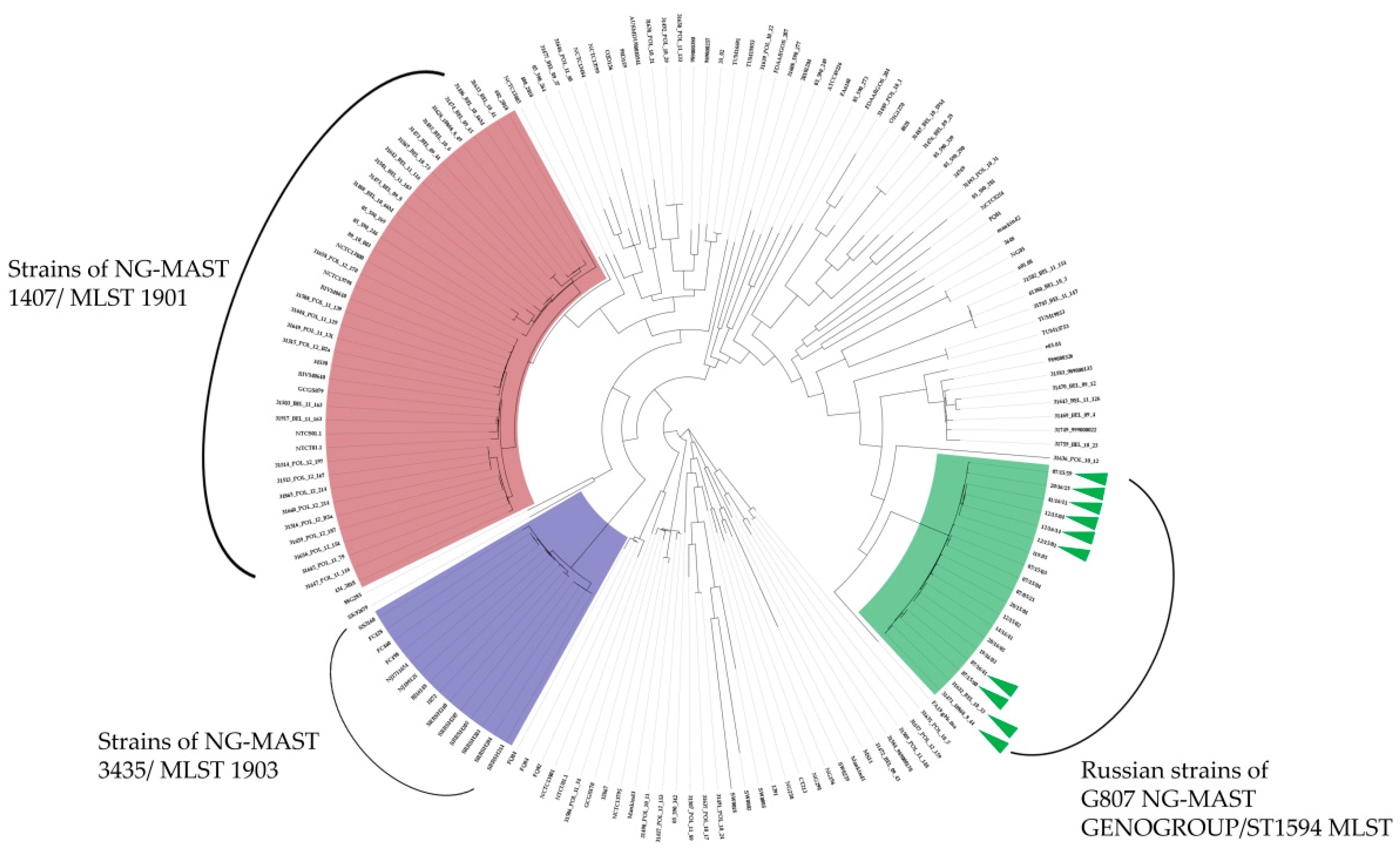 Microorganisms 10 02271 g003
