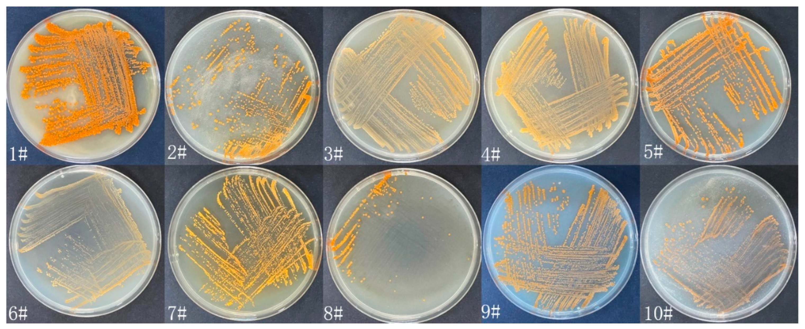 Microorganisms 10 02274 g001 Microorganisms 10 02274 g001