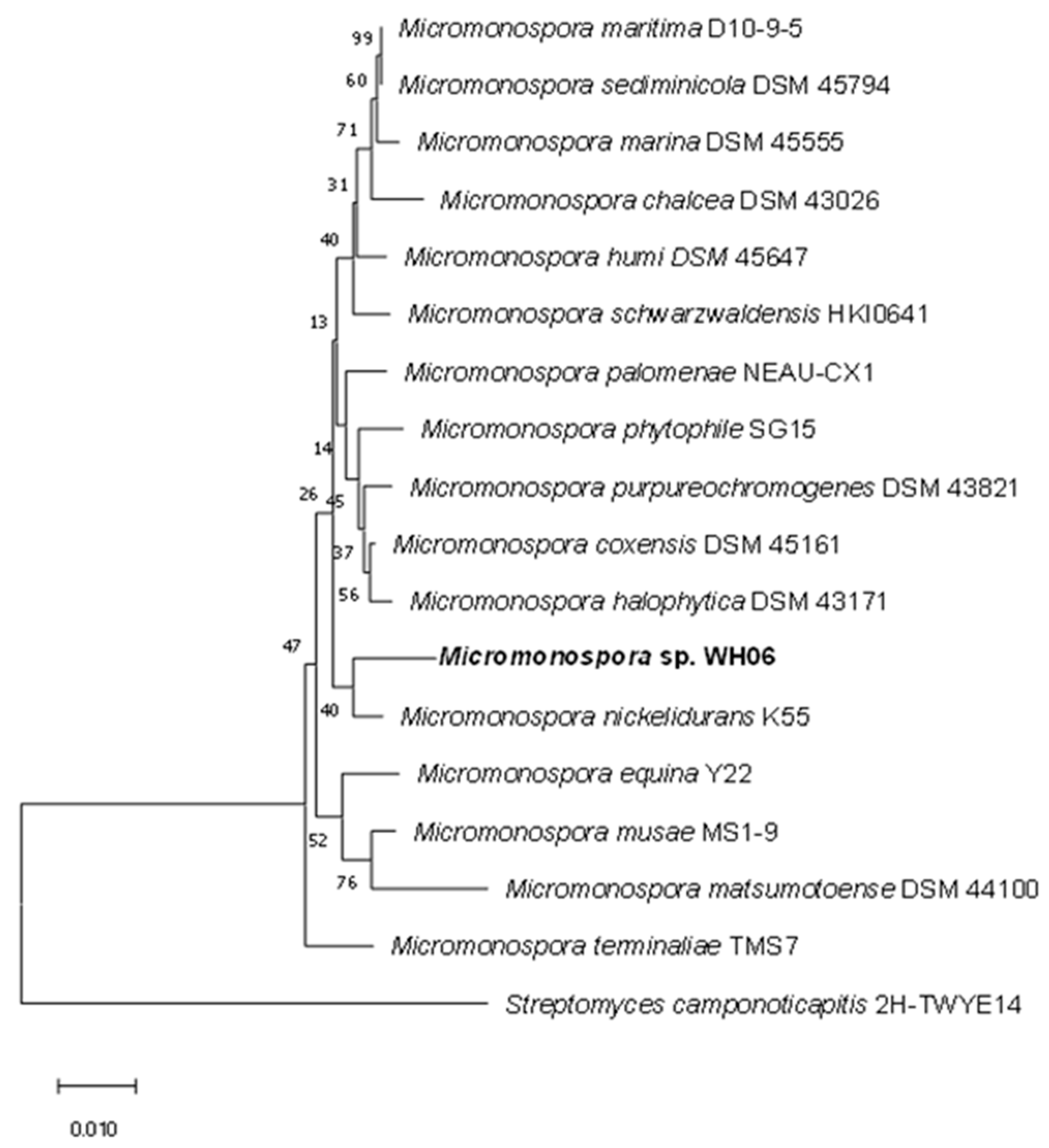 Microorganisms 10 02274 g002 Microorganisms 10 02274 g002