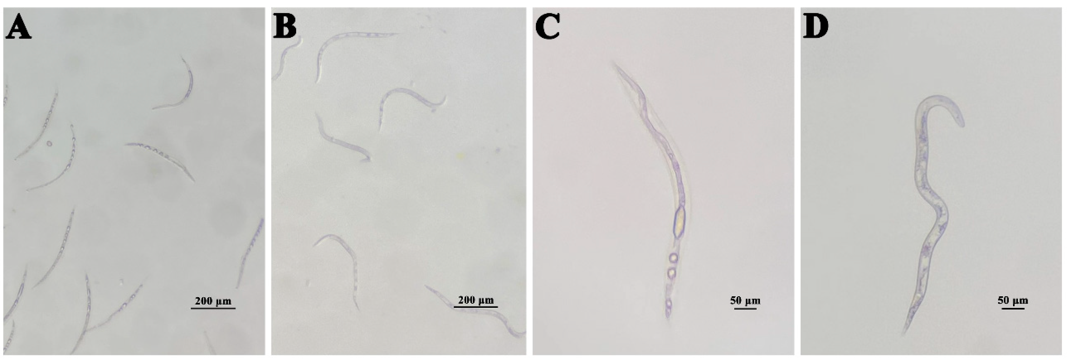 Microorganisms 10 02274 g006 Microorganisms 10 02274 g006