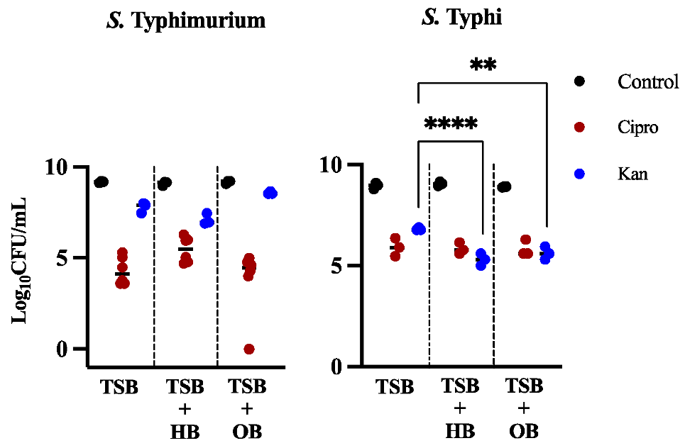 Microorganisms 10 02276 g001