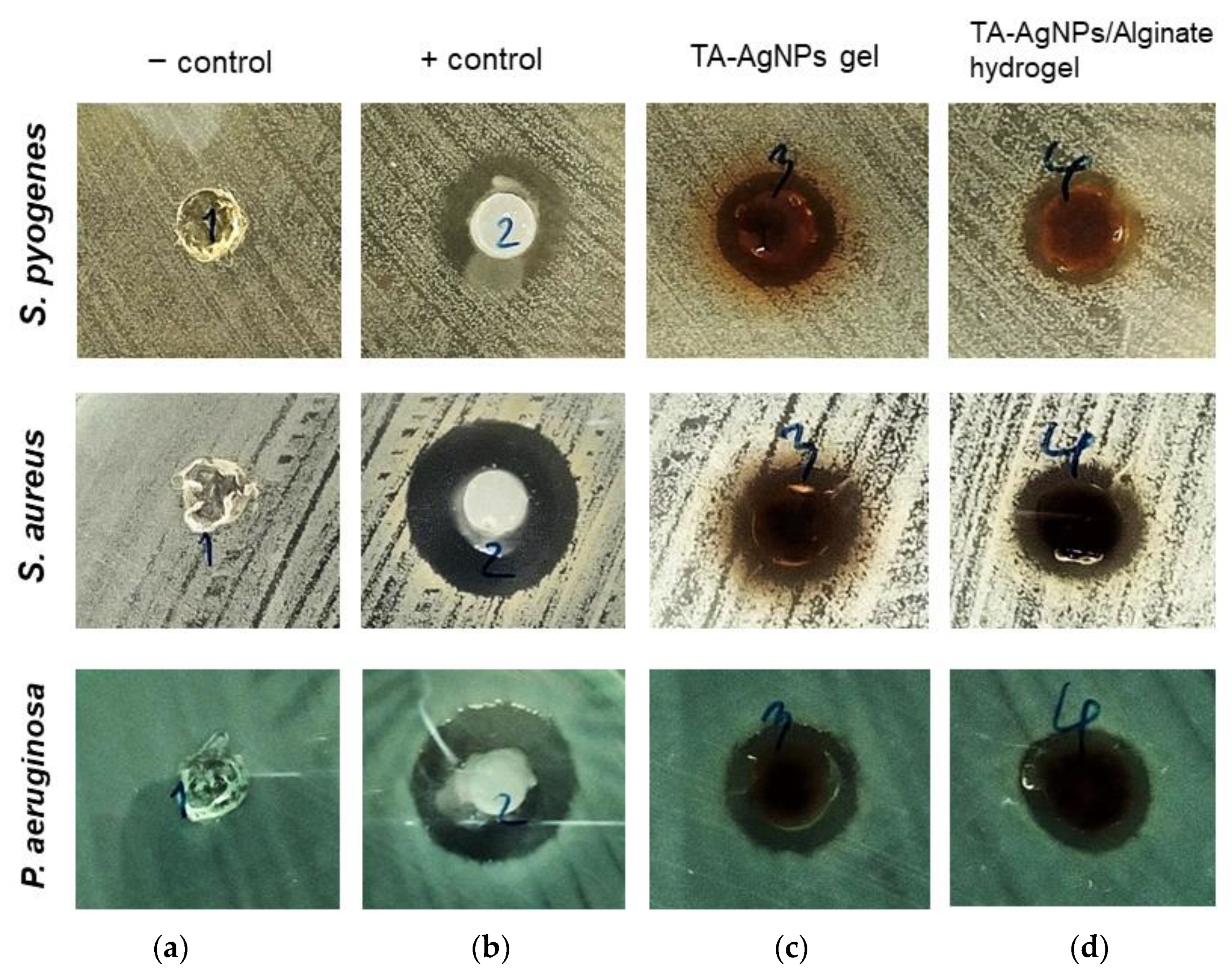 Microorganisms 10 02279 g004 Microorganisms 10 02279 g004