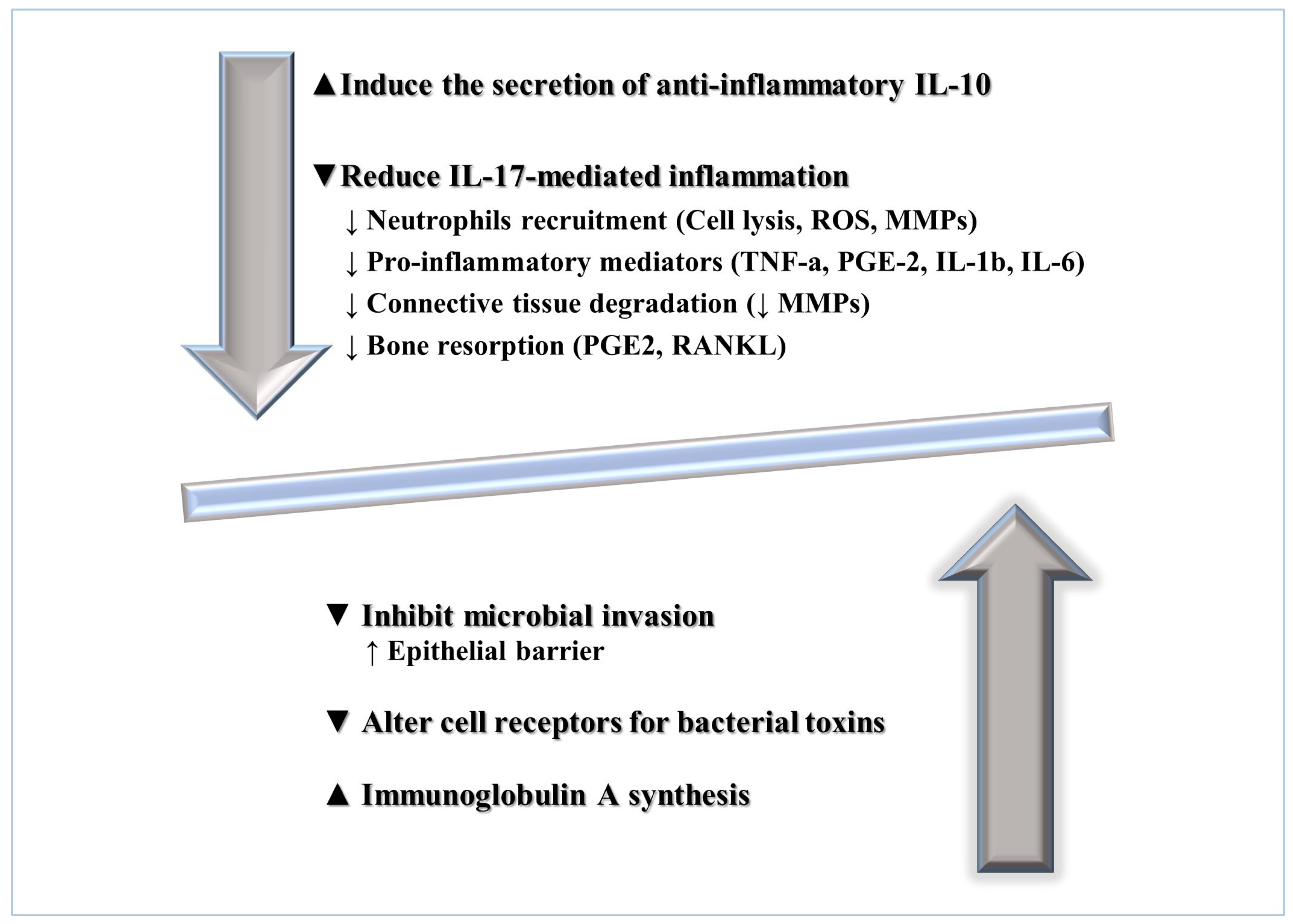 Microorganisms 10 02289 g002 Microorganisms 10 02289 g002
