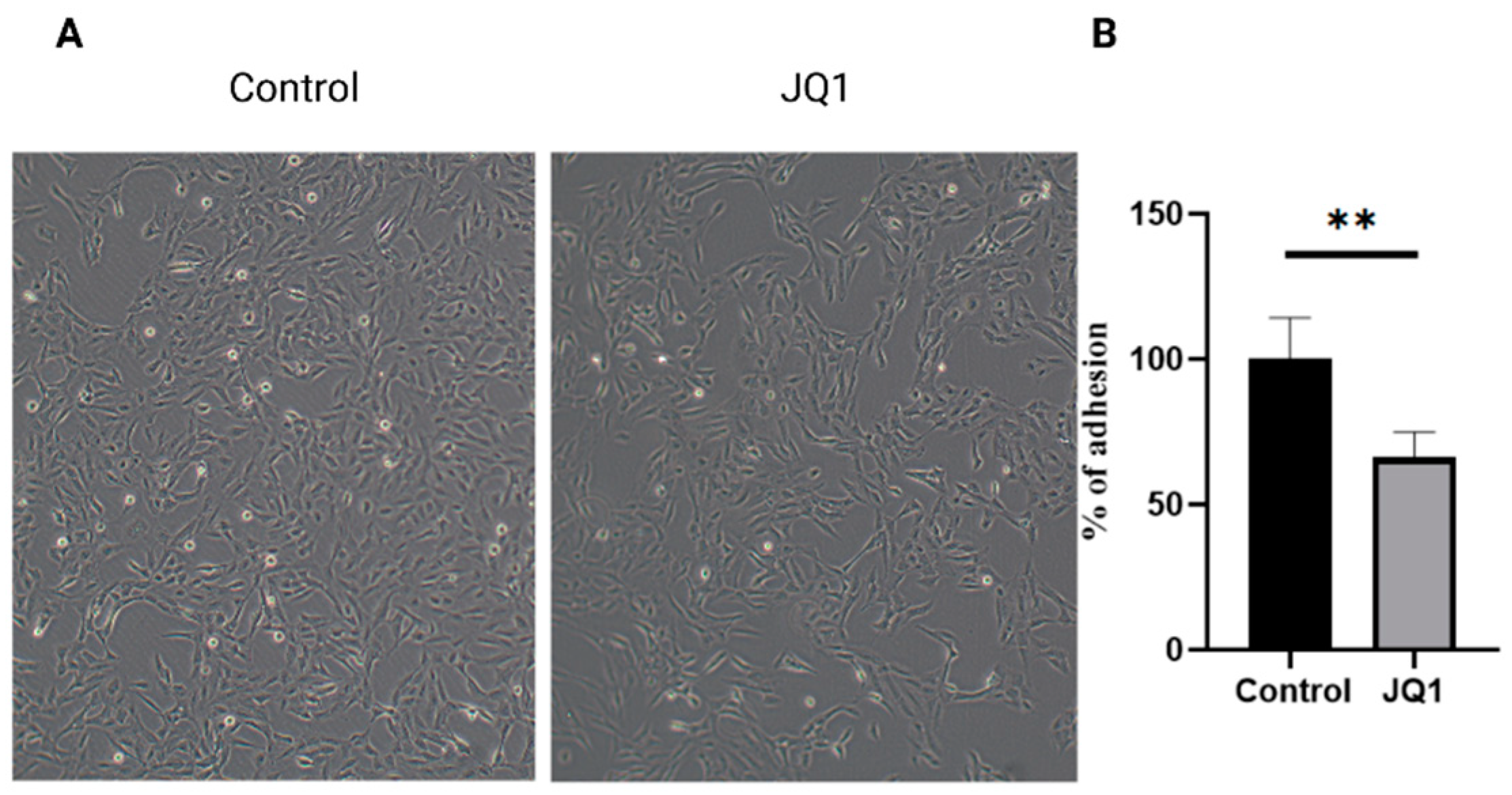 Microorganisms 10 02292 g003 Microorganisms 10 02292 g003