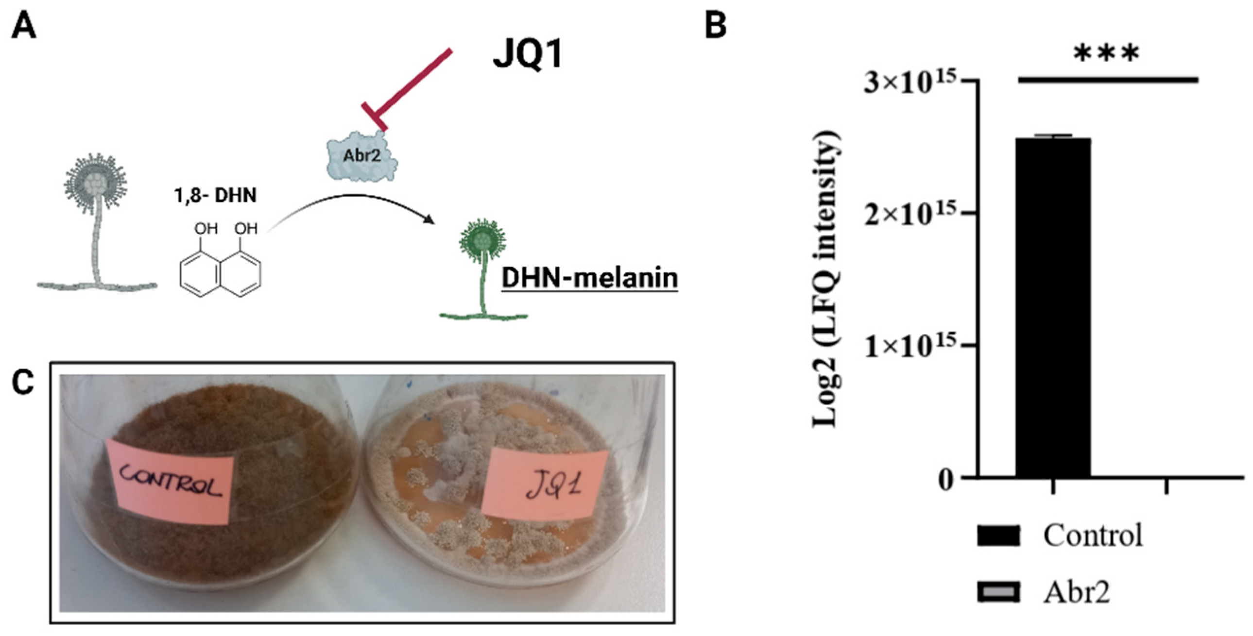 Microorganisms 10 02292 g006 Microorganisms 10 02292 g006