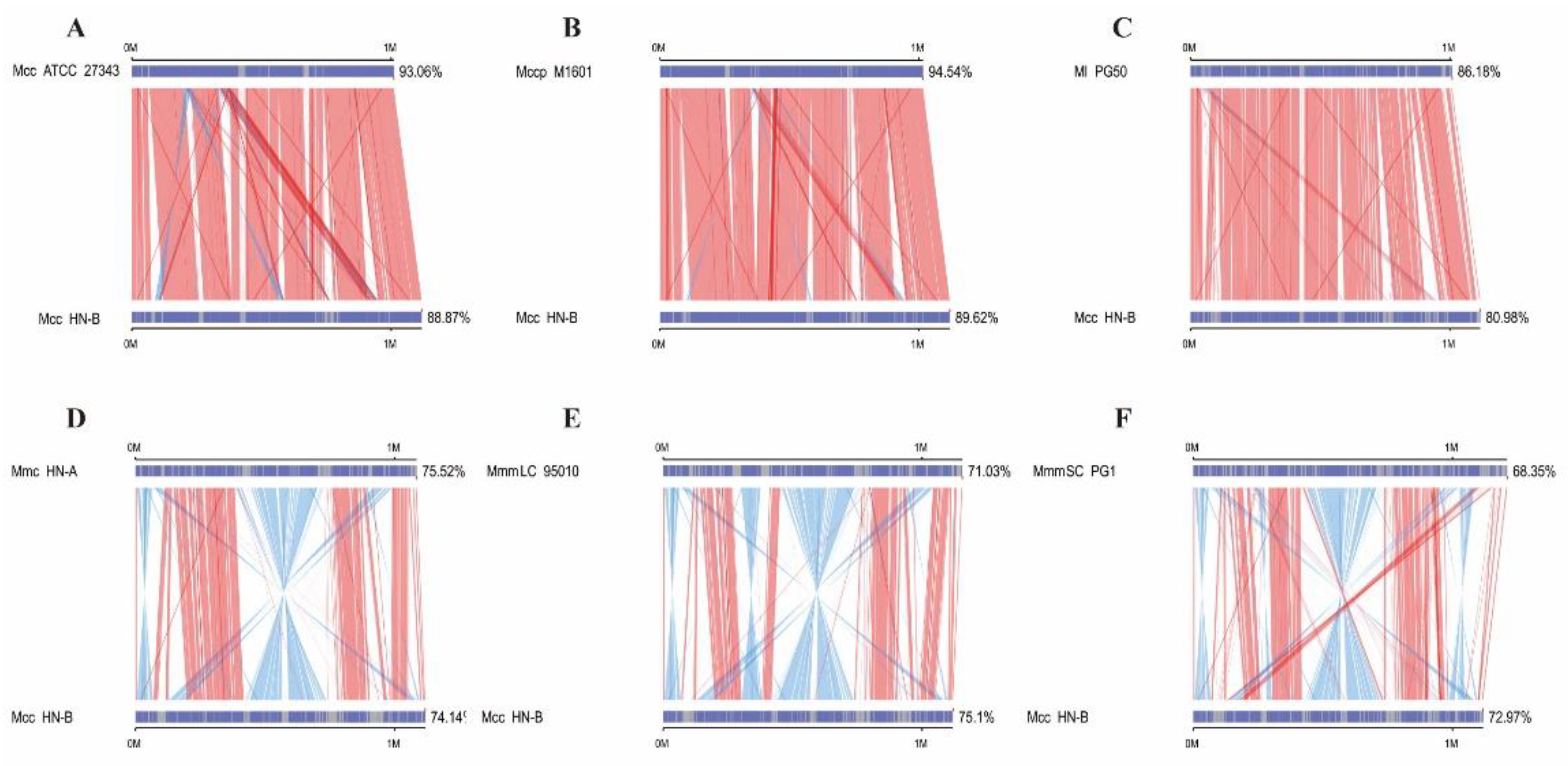 Microorganisms 10 02298 g004 Microorganisms 10 02298 g004