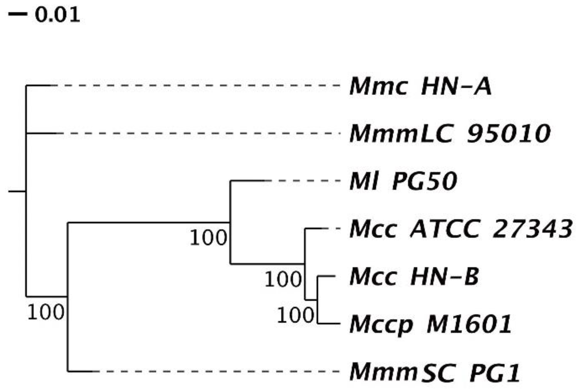 Microorganisms 10 02298 g006 Microorganisms 10 02298 g006