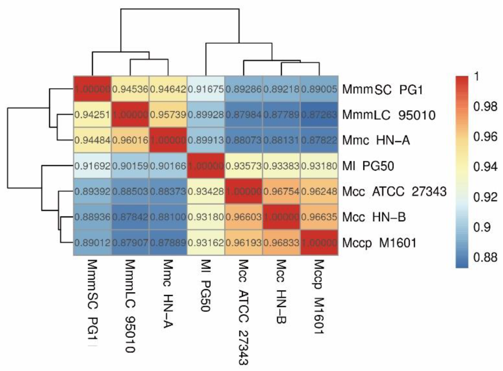 Microorganisms 10 02298 g007 Microorganisms 10 02298 g007