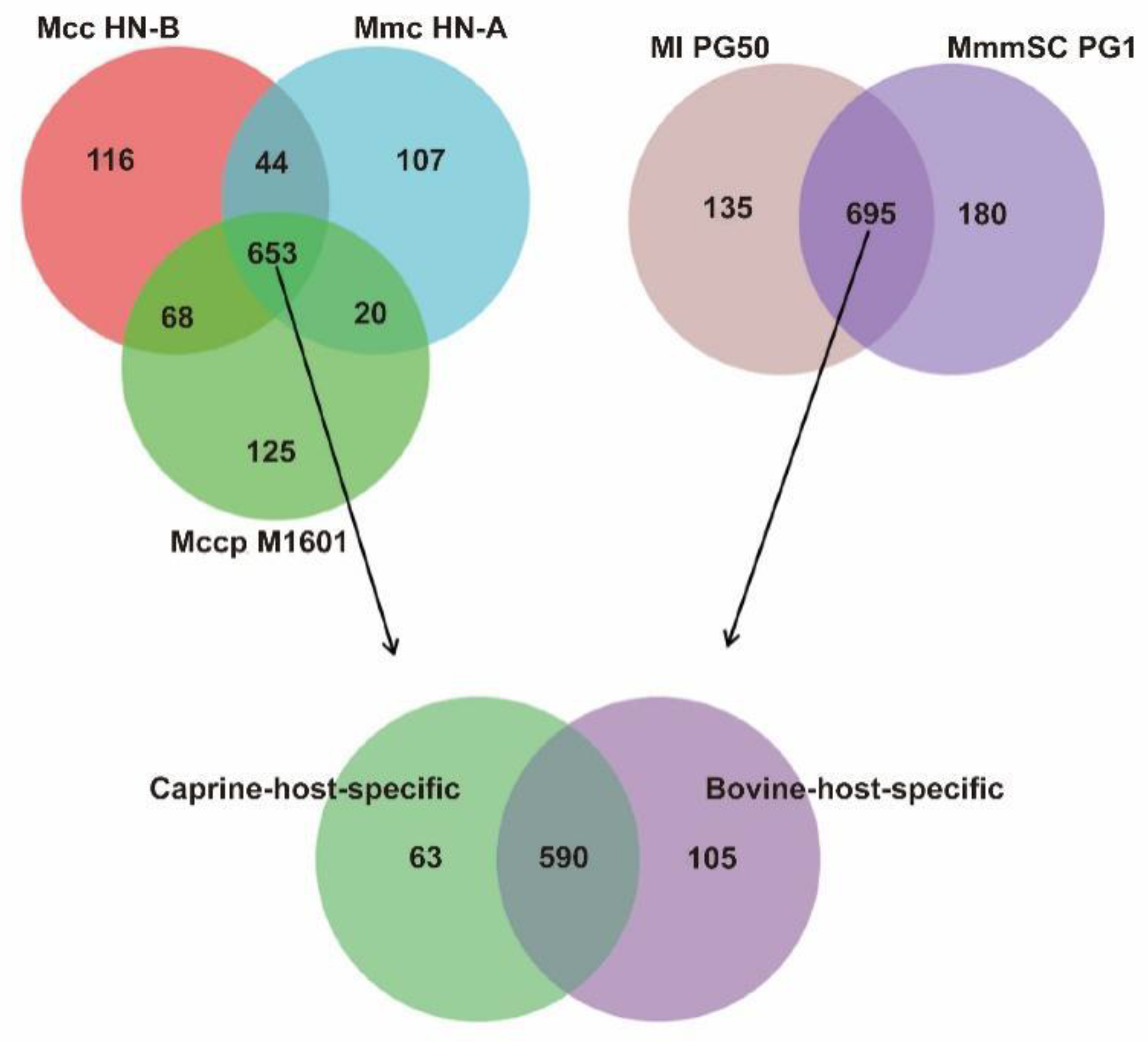 Microorganisms 10 02298 g009 Microorganisms 10 02298 g009