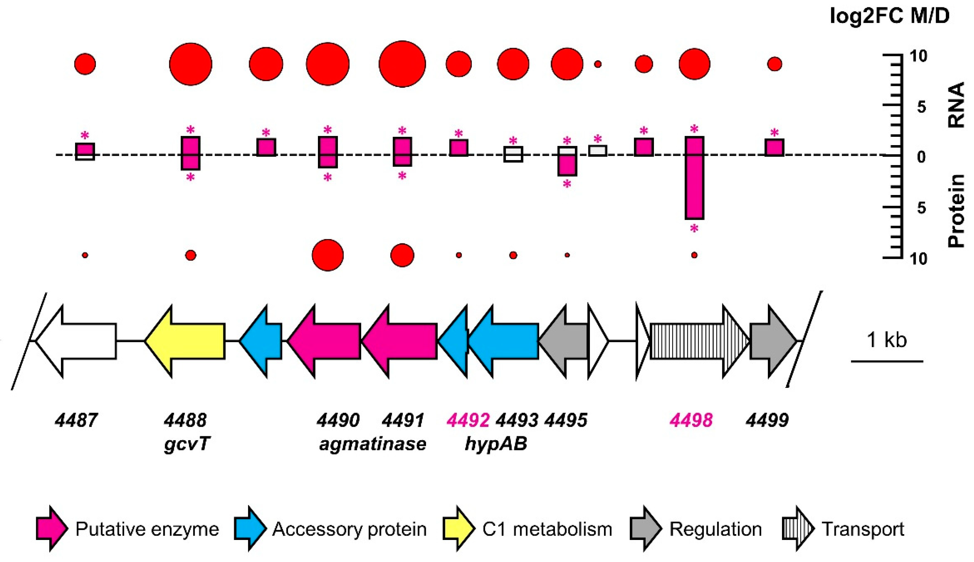 Microorganisms 10 02302 g005 Microorganisms 10 02302 g005