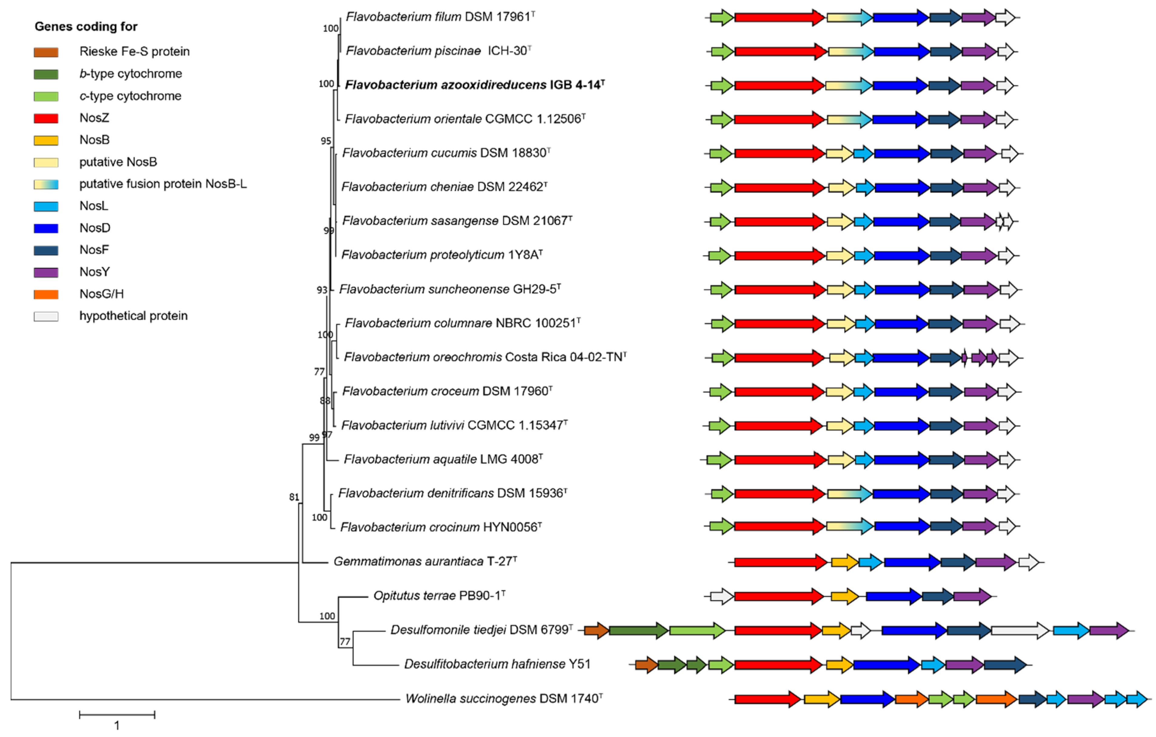 Microorganisms 10 02304 g003 Microorganisms 10 02304 g003