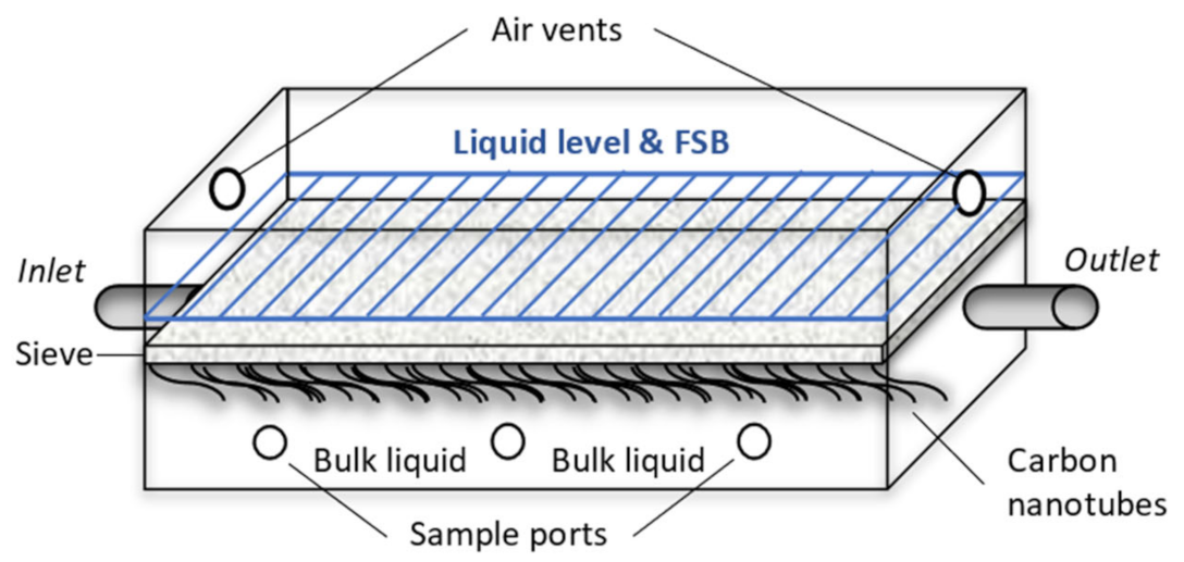 Microorganisms 10 02305 g001