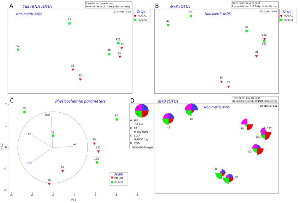 Microorganisms 10 02305 g004