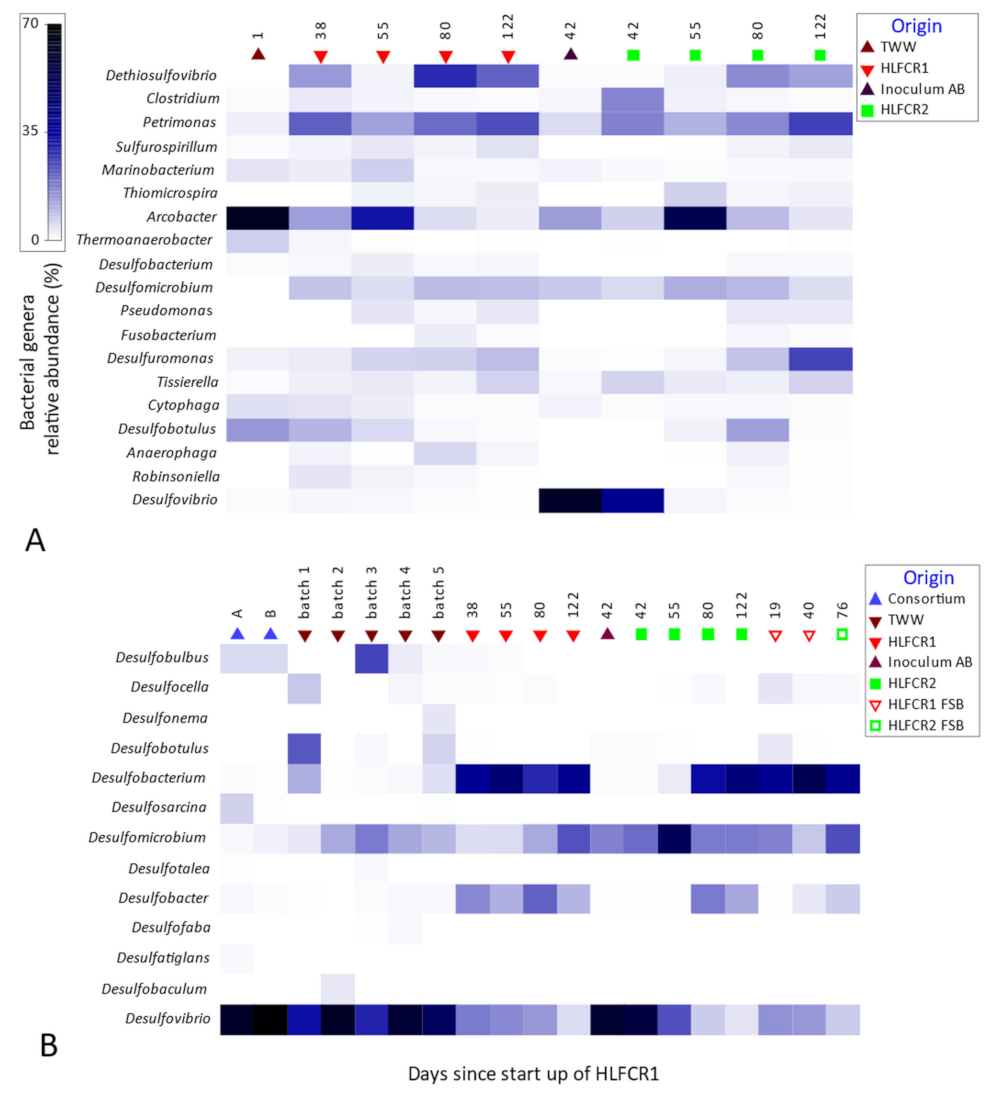 Microorganisms 10 02305 g007