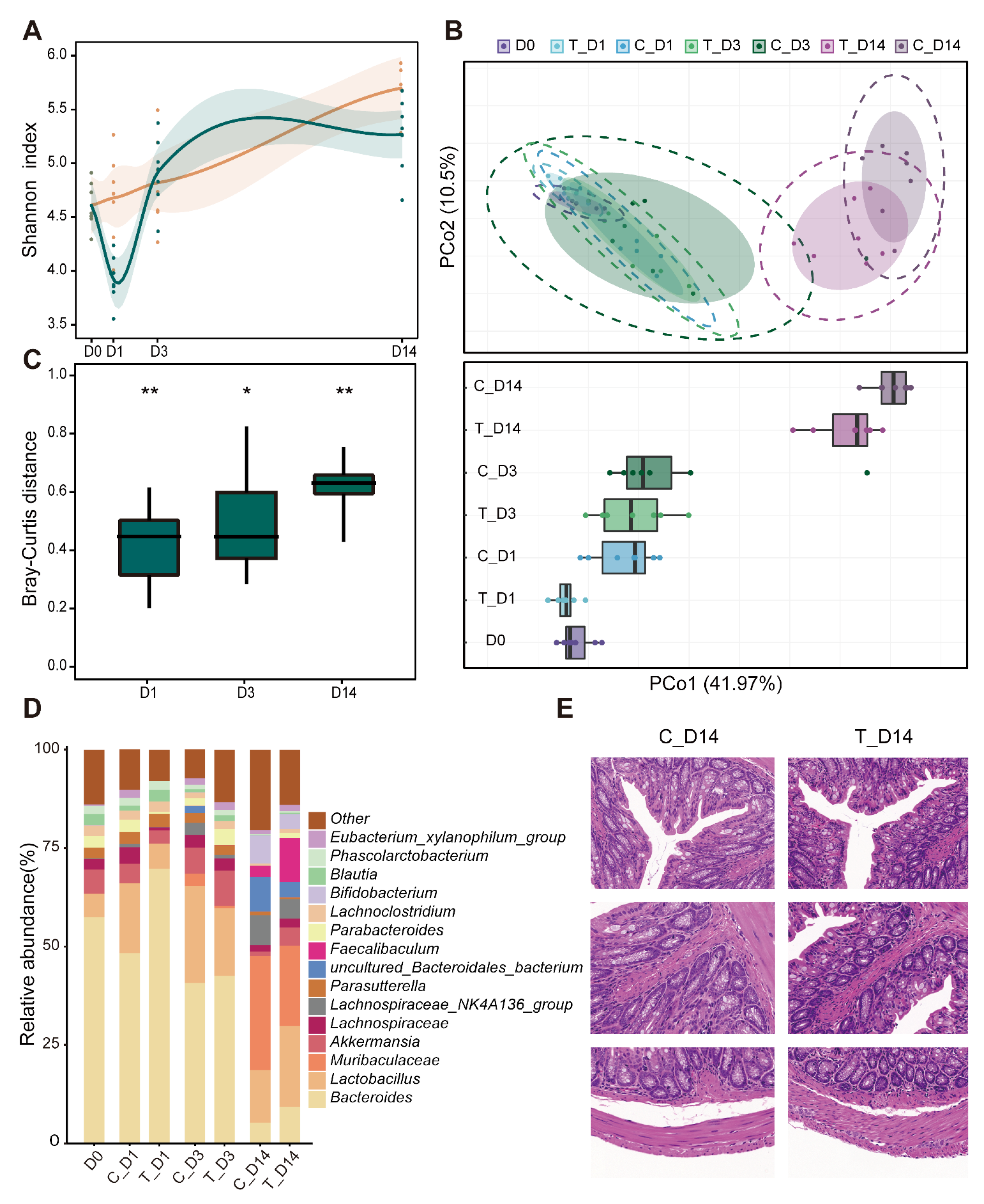 Microorganisms 10 02317 g006 Microorganisms 10 02317 g006
