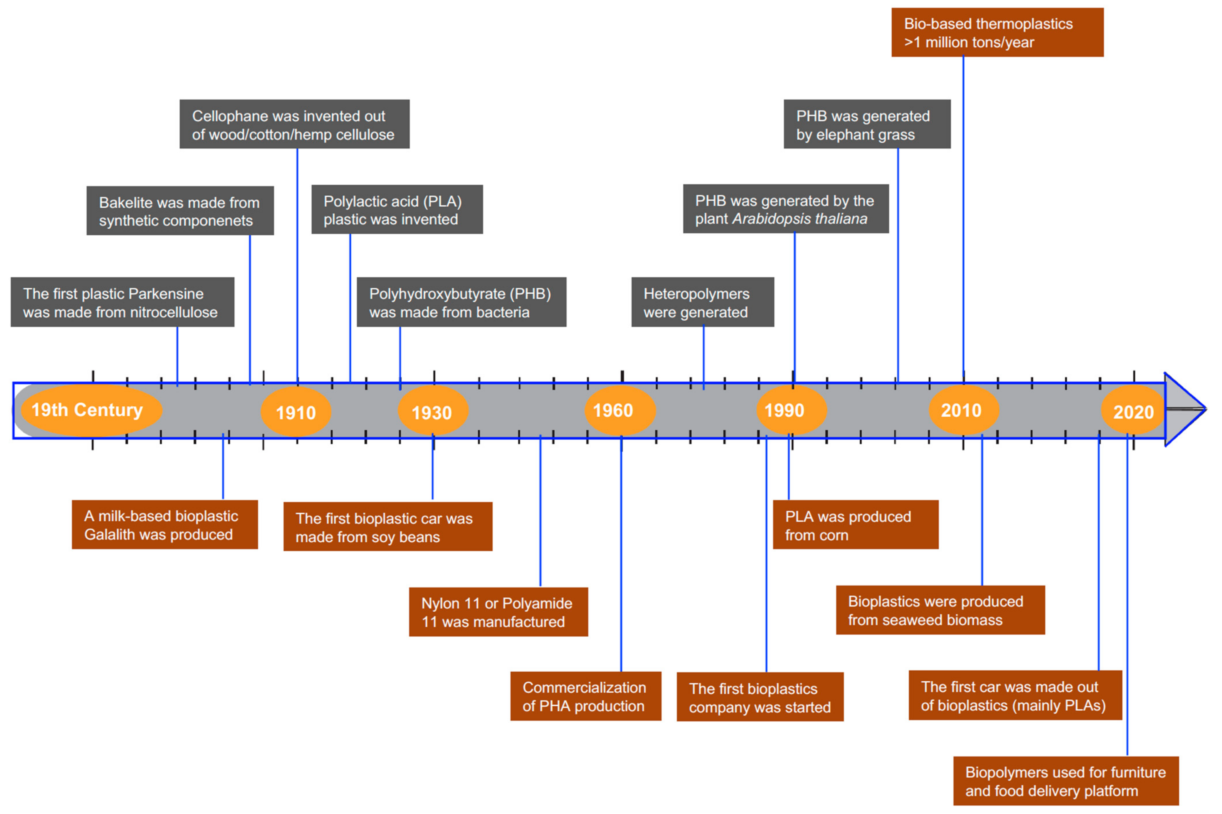 Microorganisms 10 02320 g001