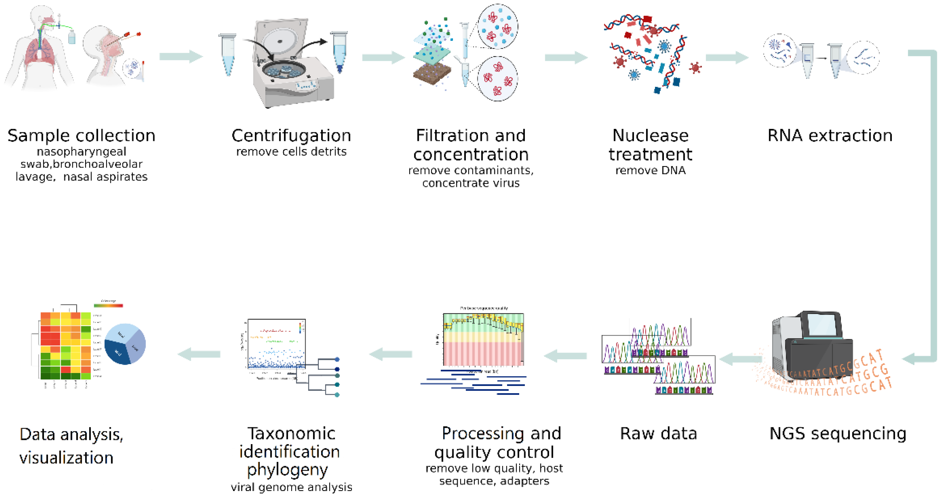 Next Generation Sequencing Approaches To Characterize The Respiratory 