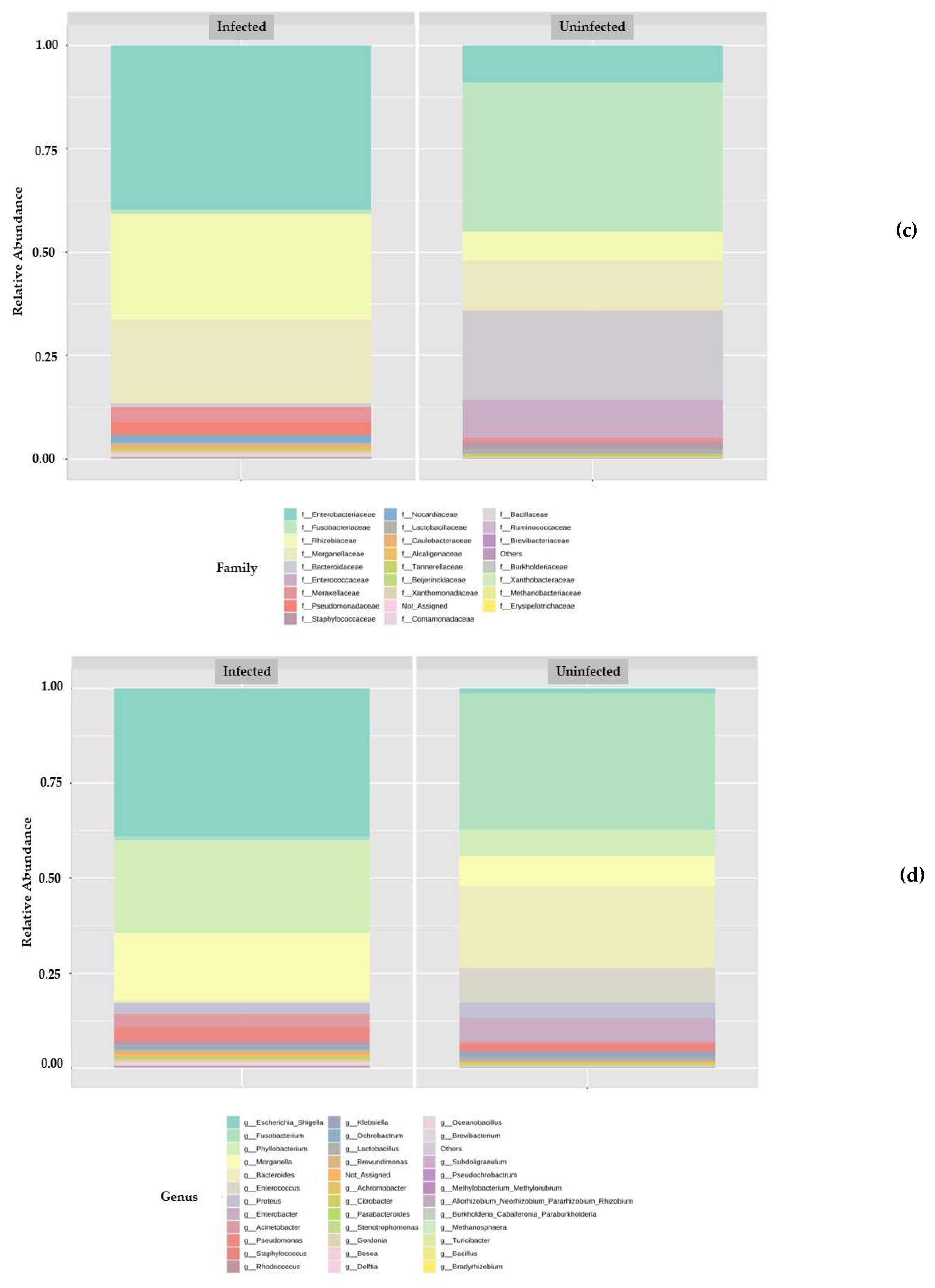 Microorganisms 10 02328 g002b Microorganisms 10 02328 g002b
