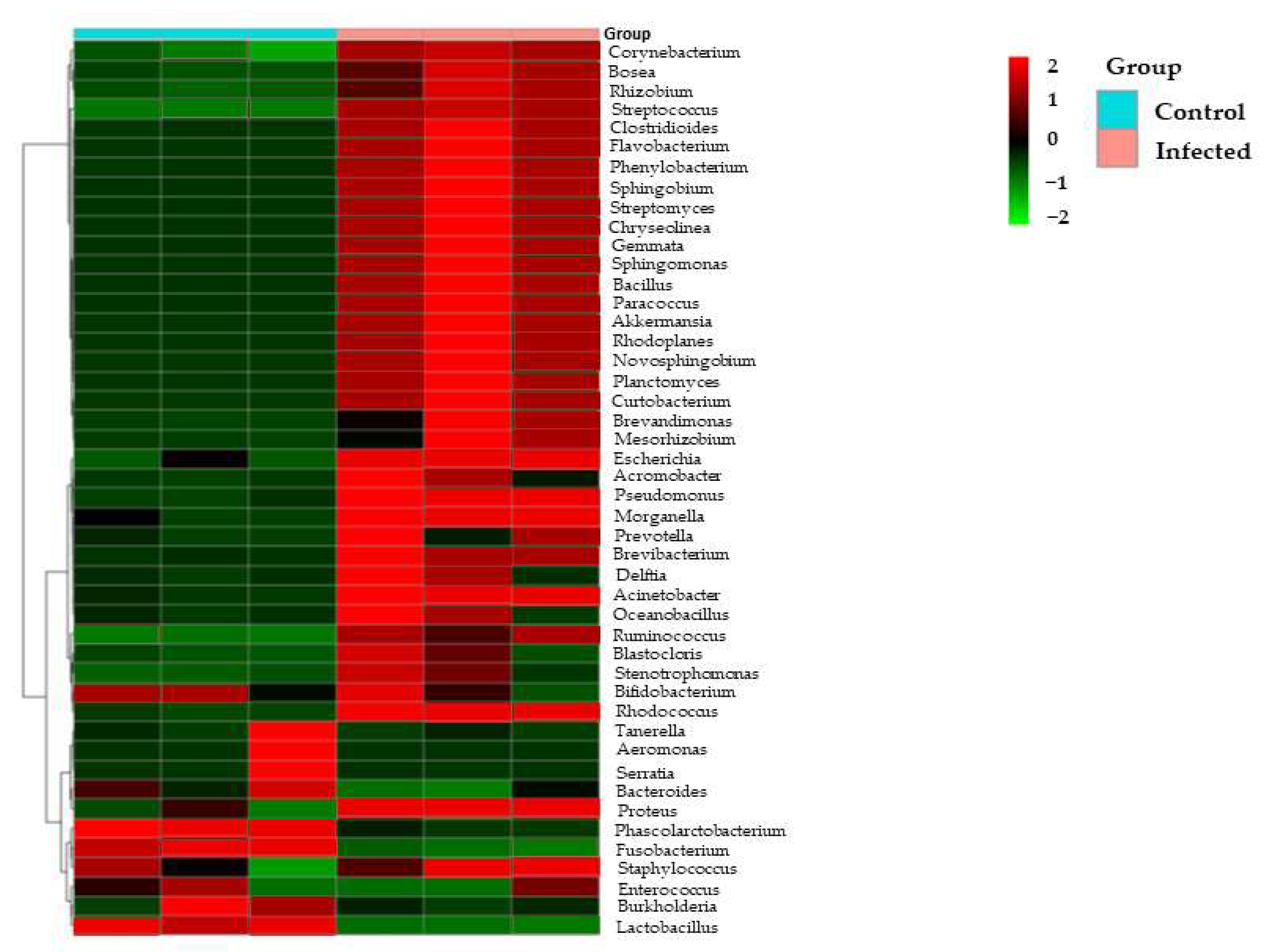 Microorganisms 10 02328 g003 Microorganisms 10 02328 g003