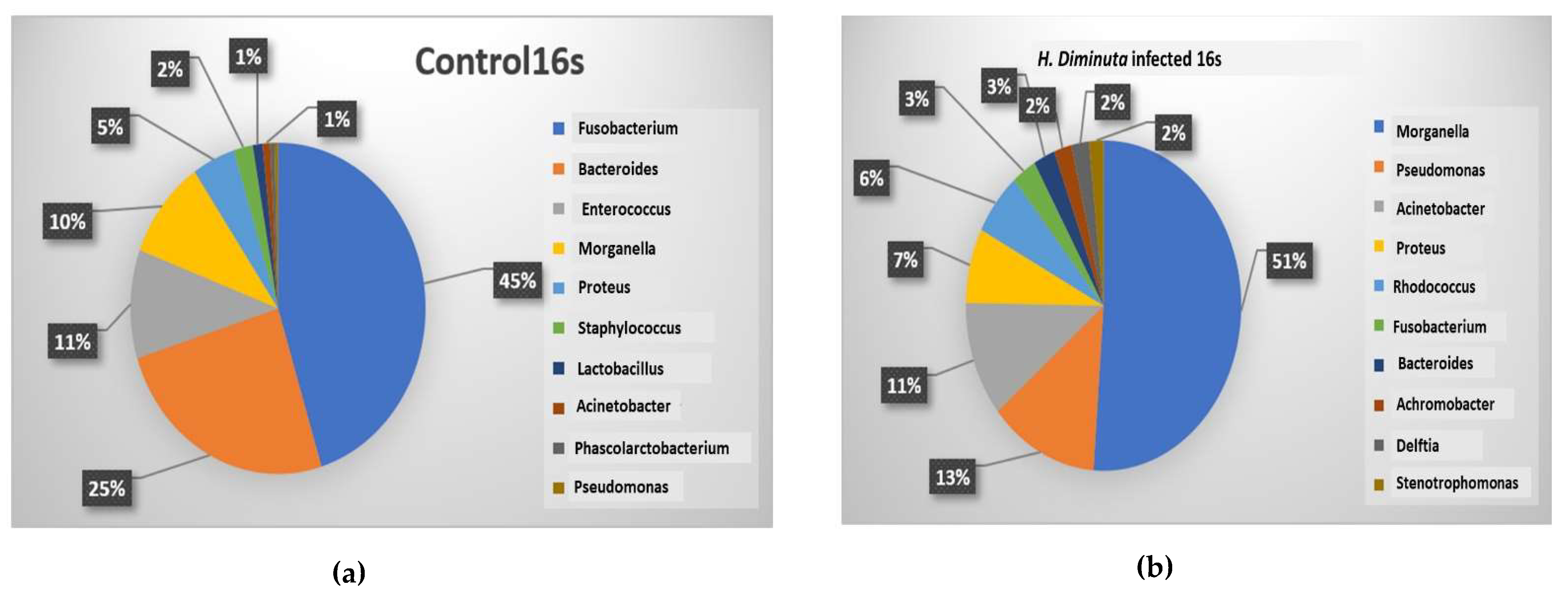 Microorganisms 10 02328 g004a Microorganisms 10 02328 g004a