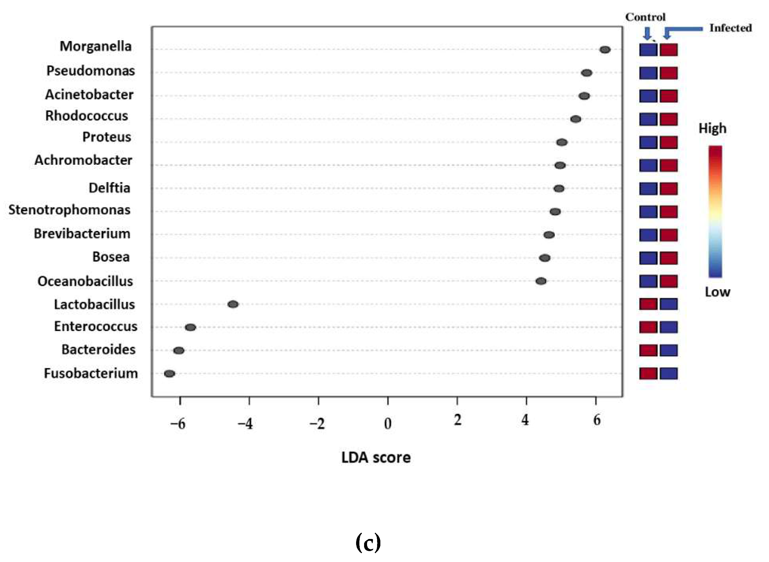 Microorganisms 10 02328 g004b Microorganisms 10 02328 g004b