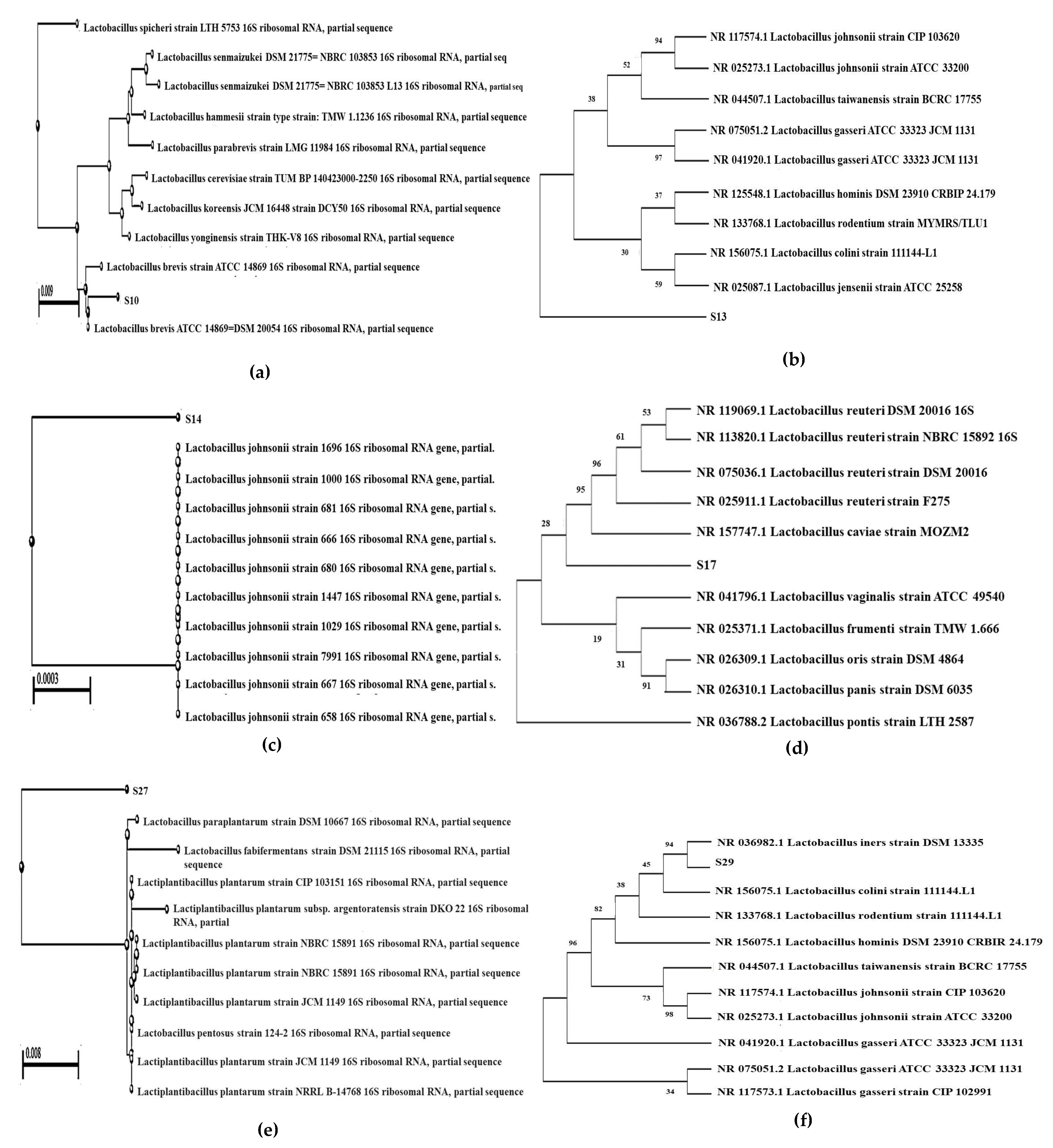 Microorganisms 10 02328 g008 Microorganisms 10 02328 g008