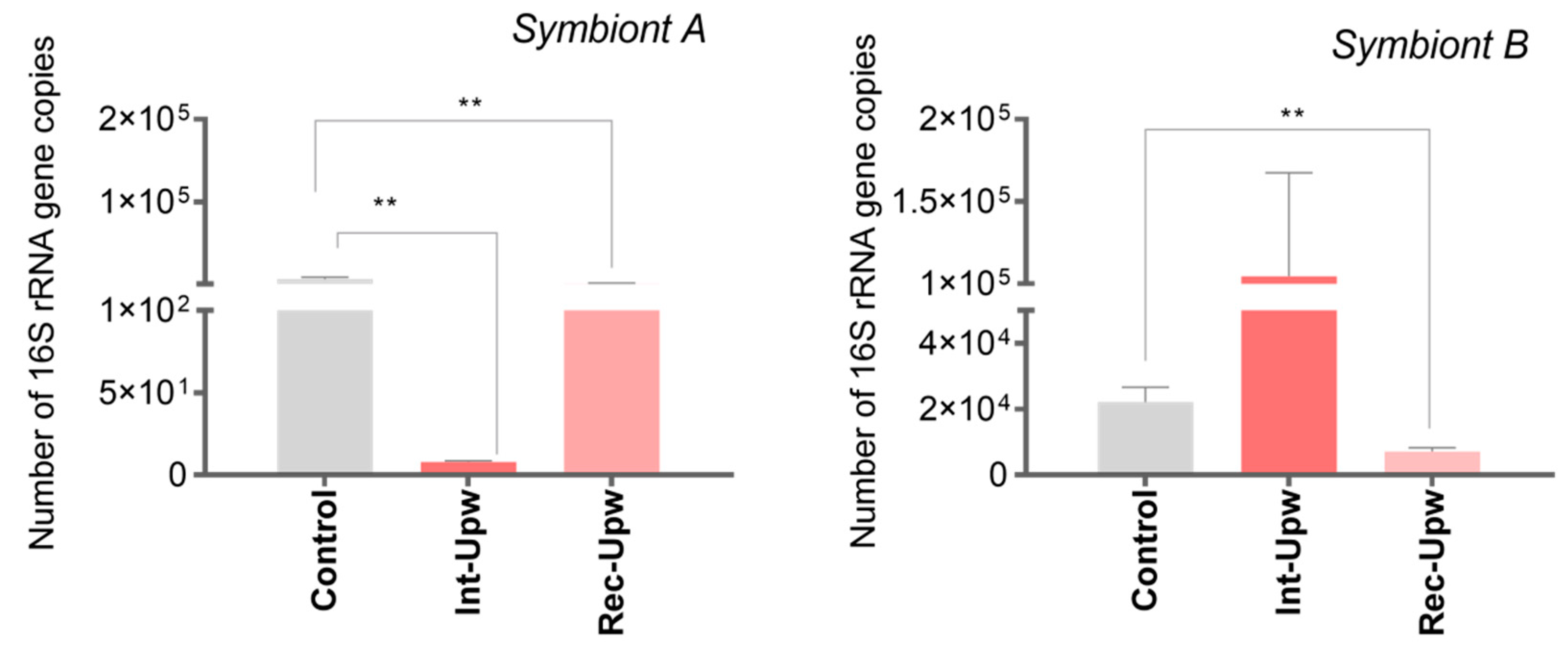 Microorganisms 10 02330 g005 Microorganisms 10 02330 g005