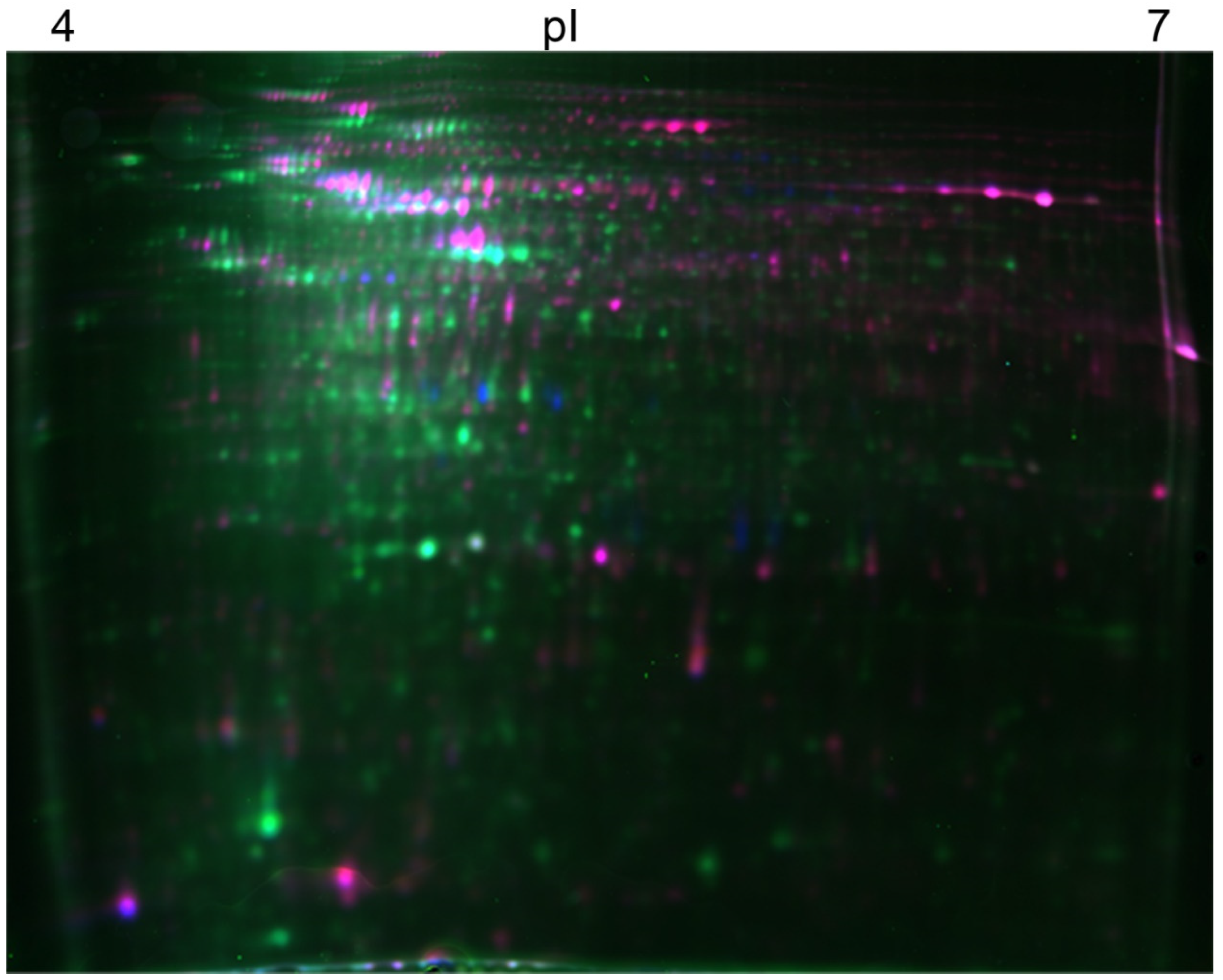 Microorganisms 10 02331 g003