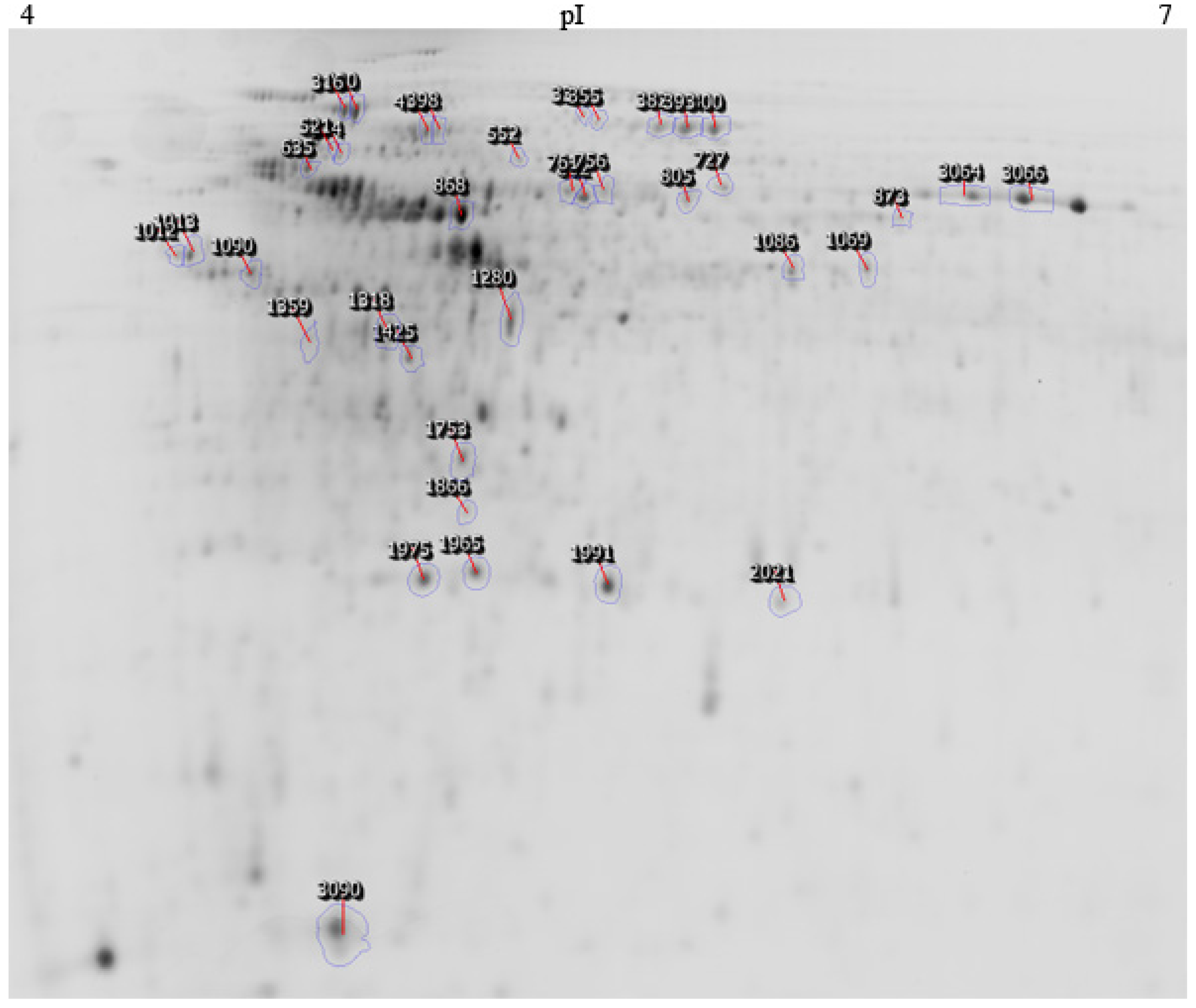 Microorganisms 10 02331 g004