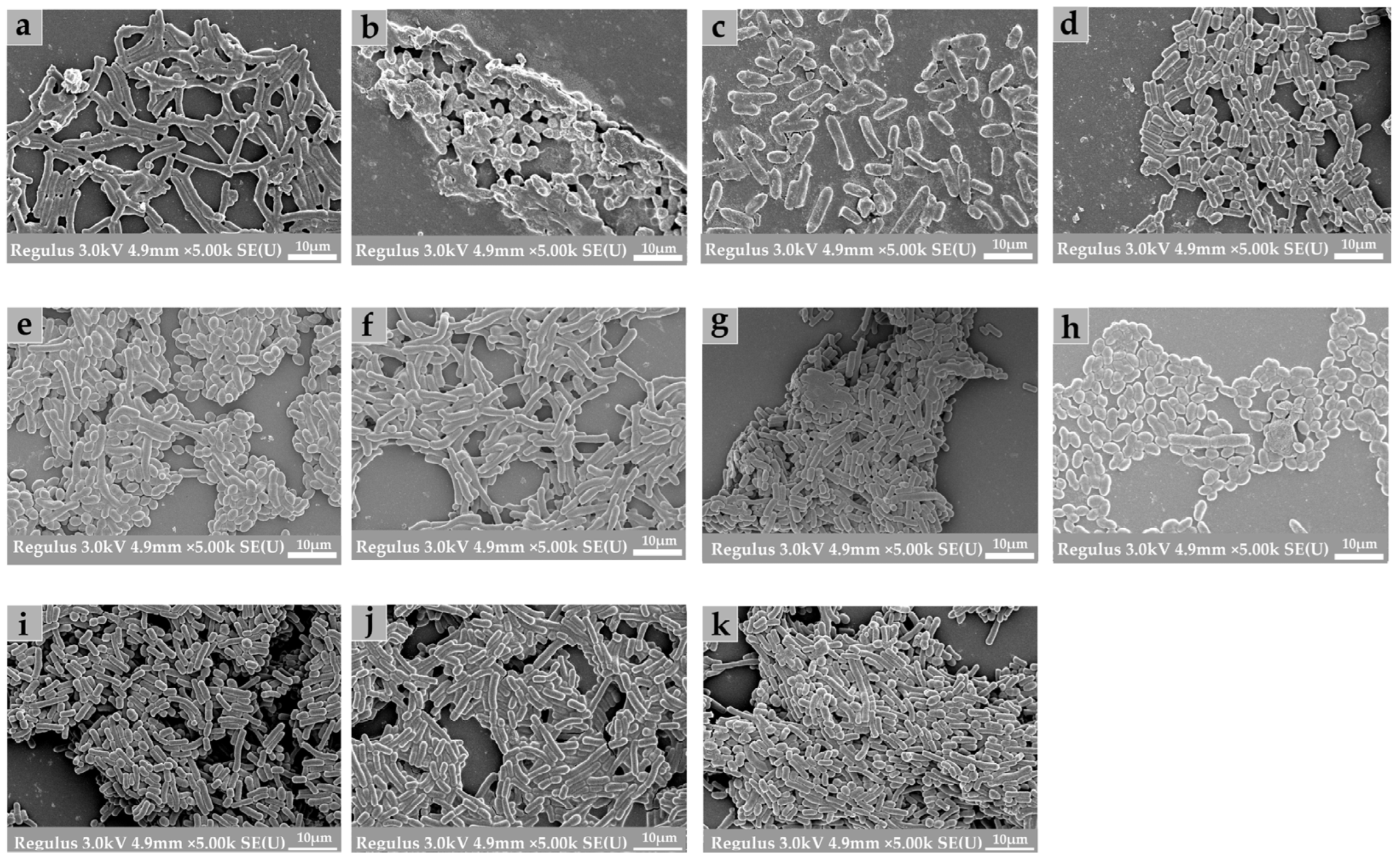 Microorganisms 10 02332 g007