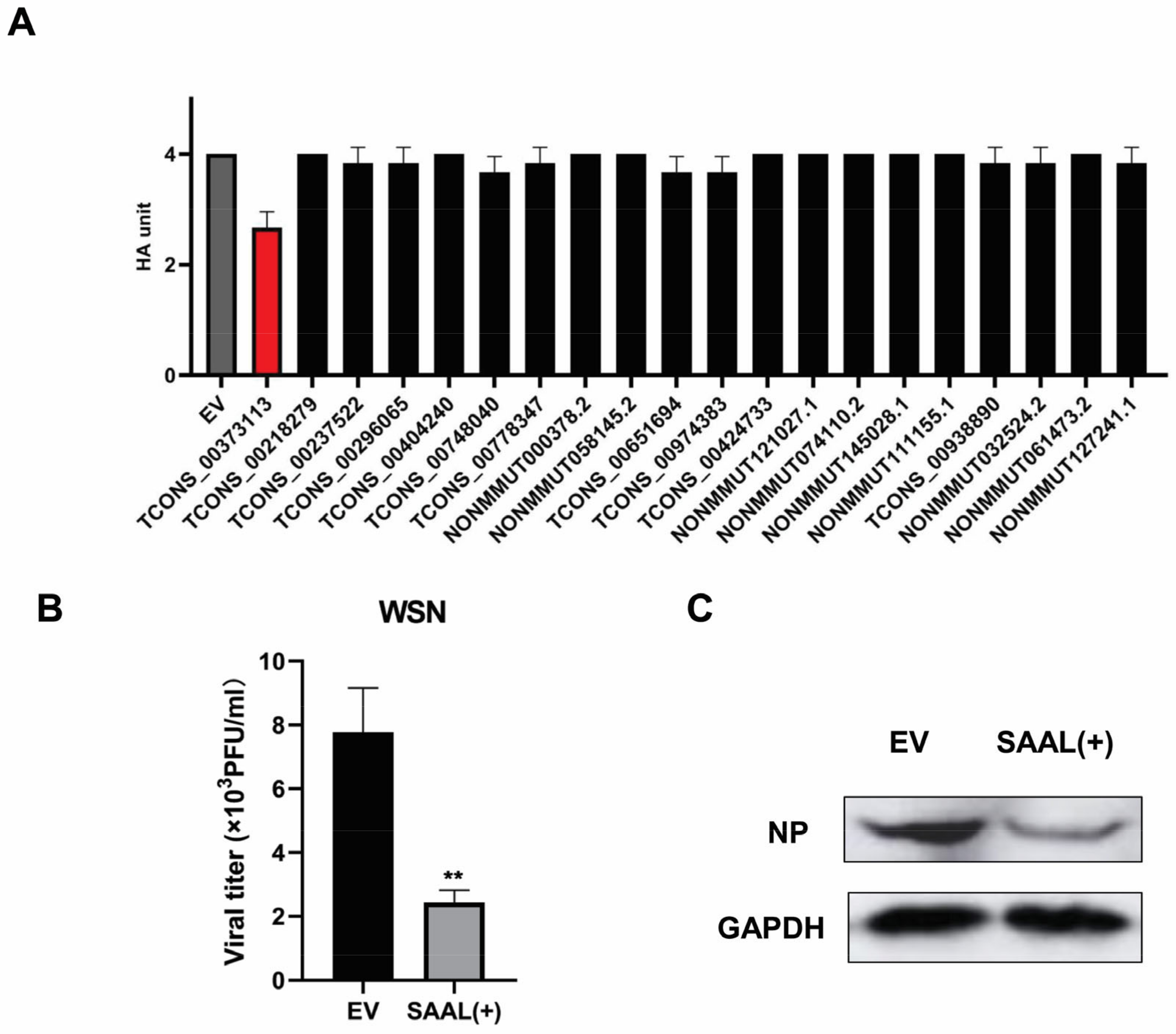 Microorganisms 10 02336 g002