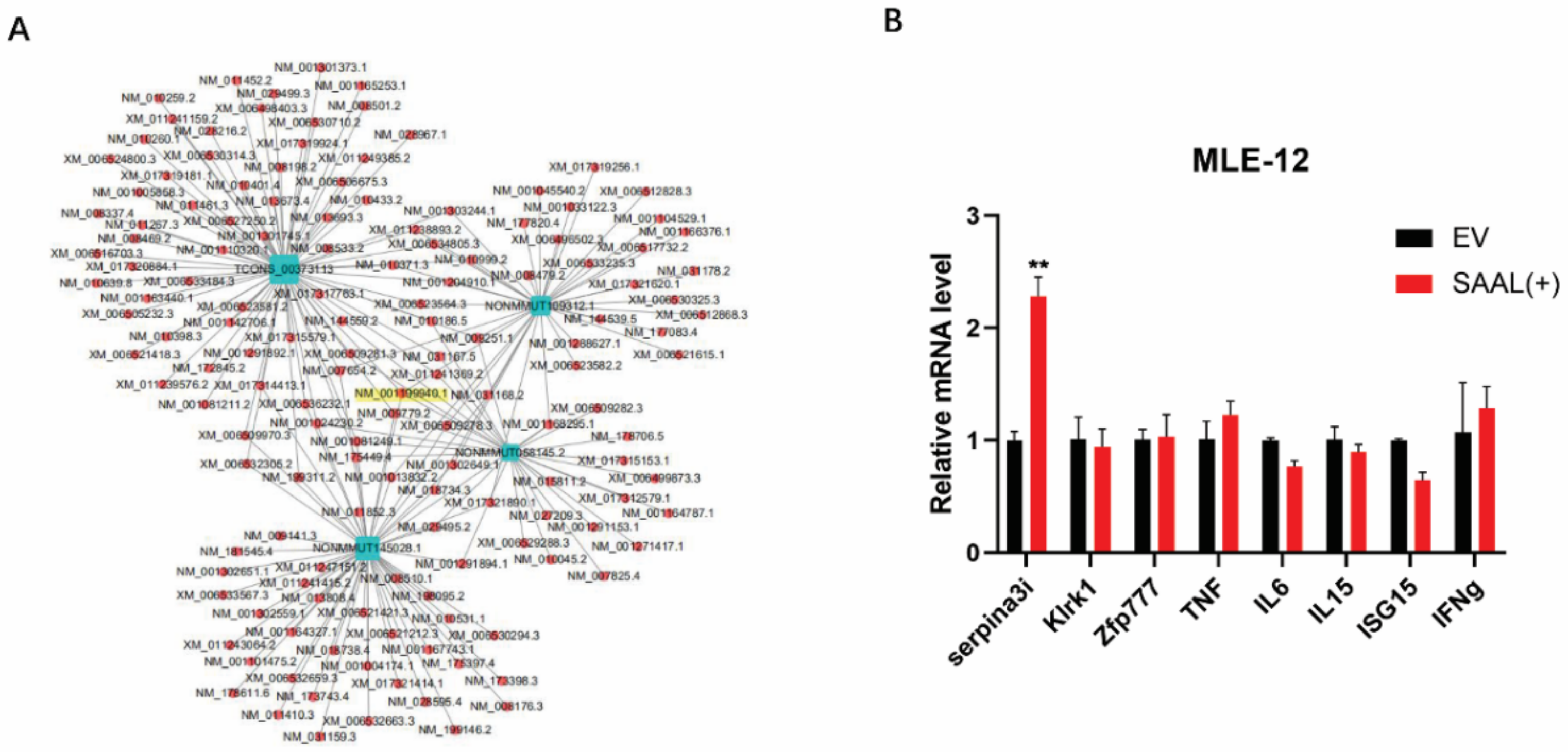 Microorganisms 10 02336 g004