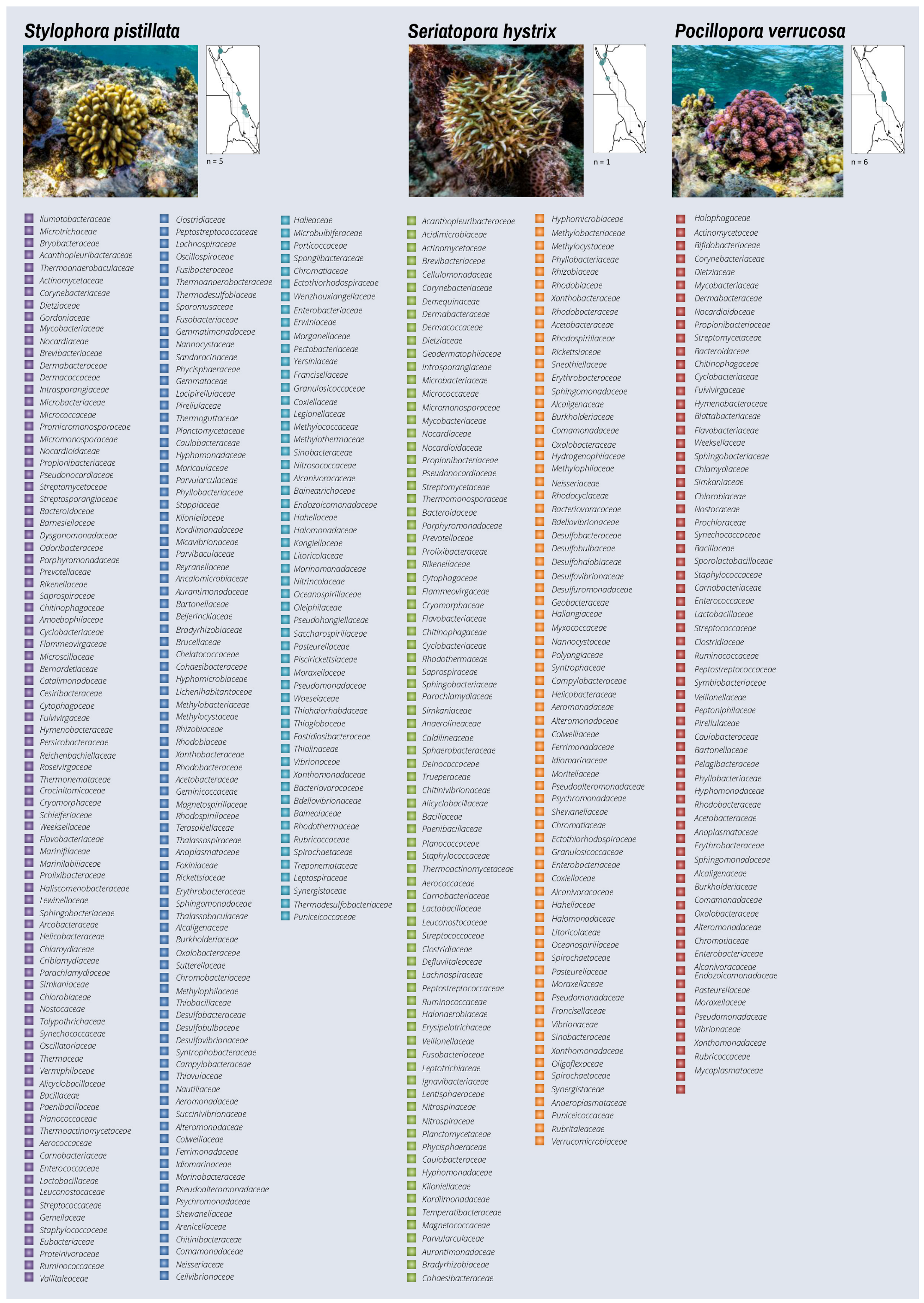Microorganisms 10 02340 g004a Microorganisms 10 02340 g004a
